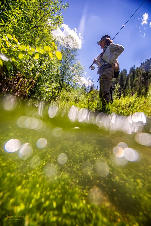 westfork_june_2018_19web.jpg
