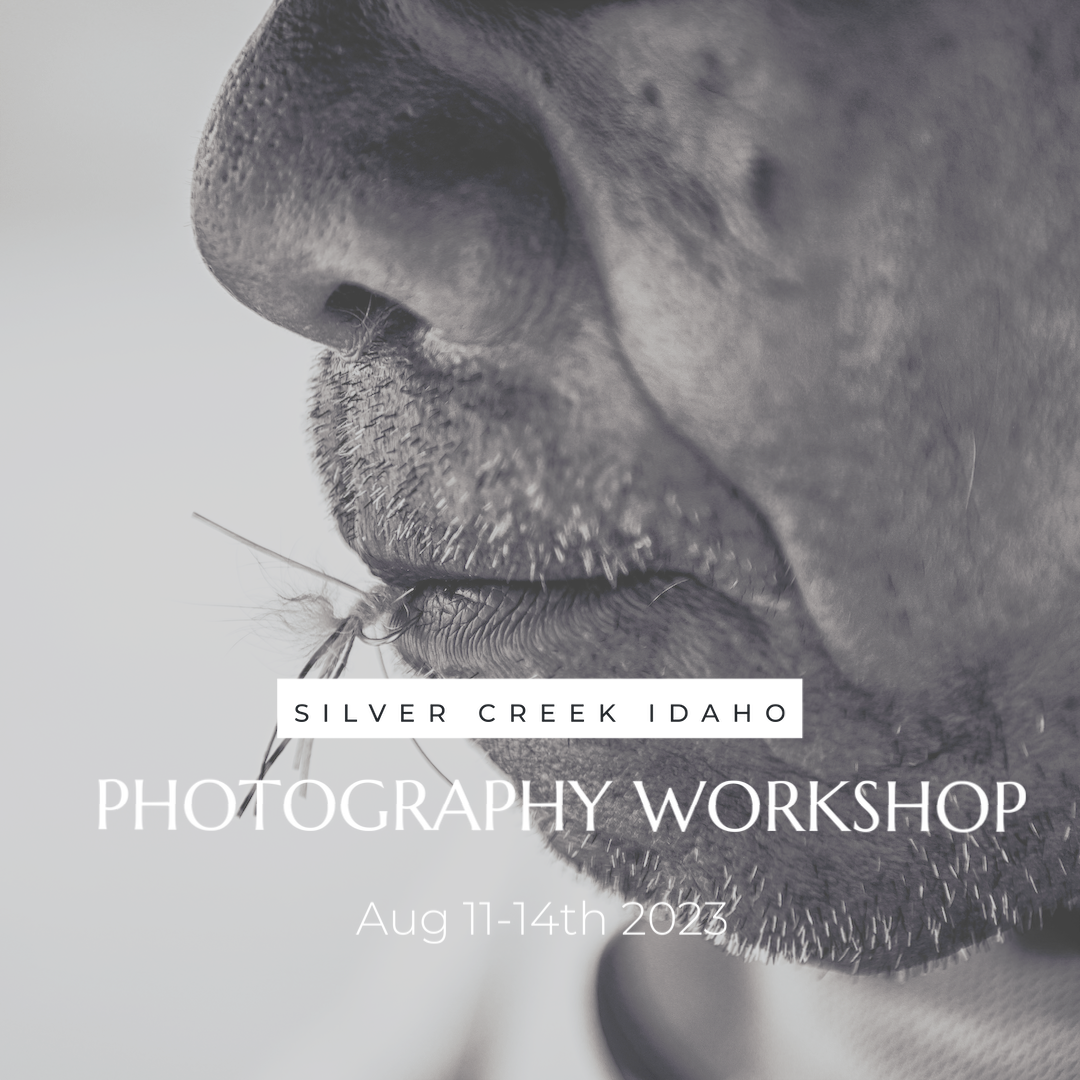 SILVER CREEK PHOTOGRAPHY WORKSHOP