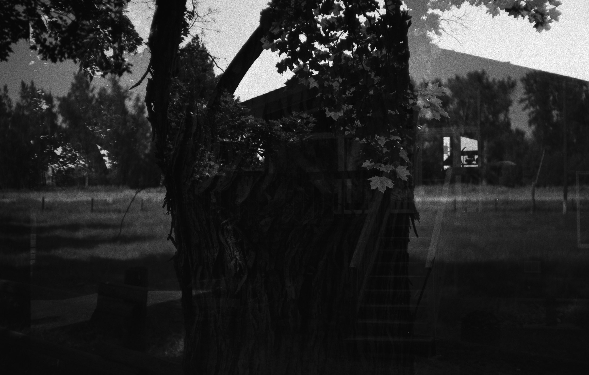 CHINON_TEST_ROLL_HR_7.jpg