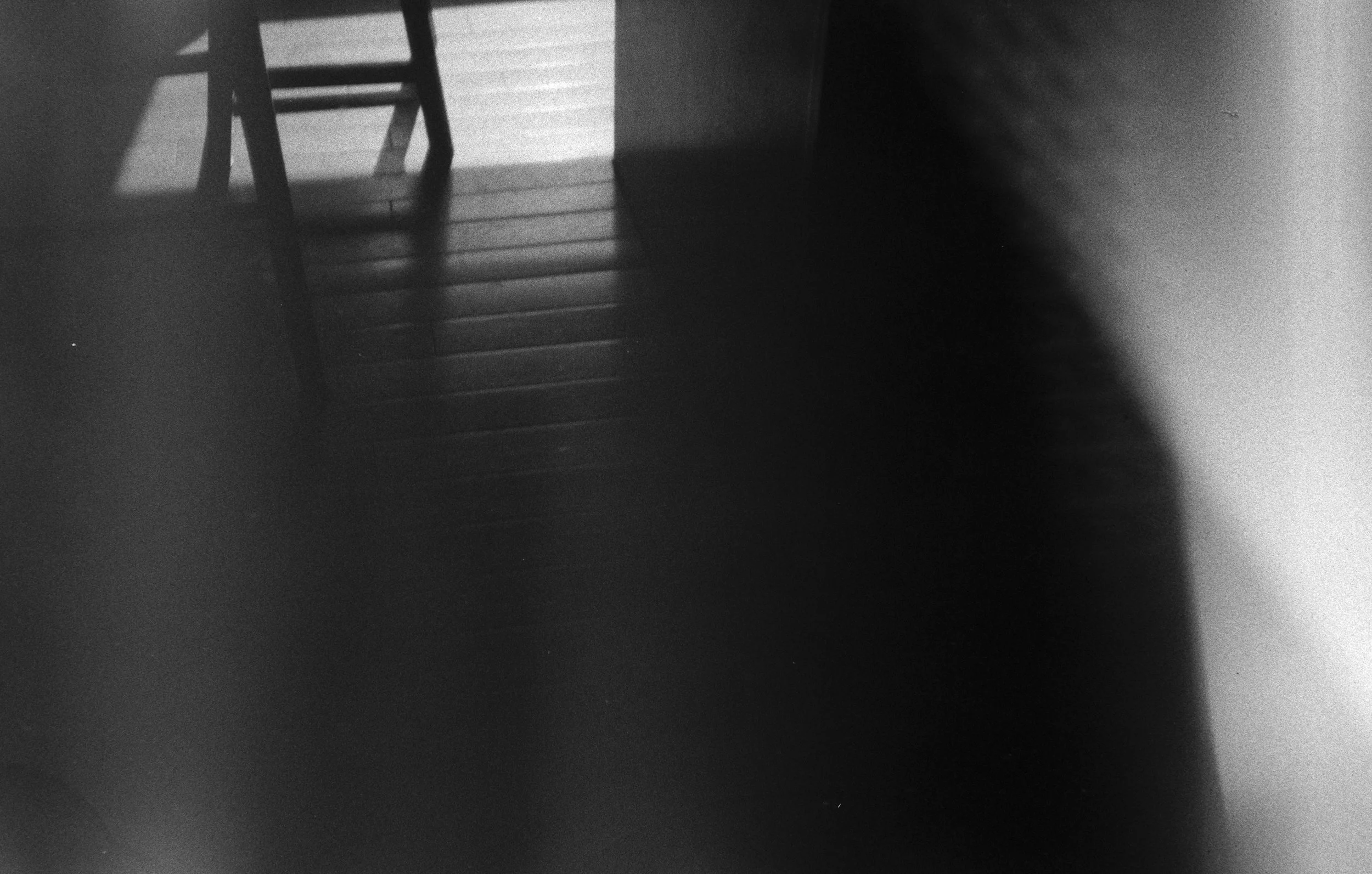 CHINON_TEST_ROLL_HR_5.jpg