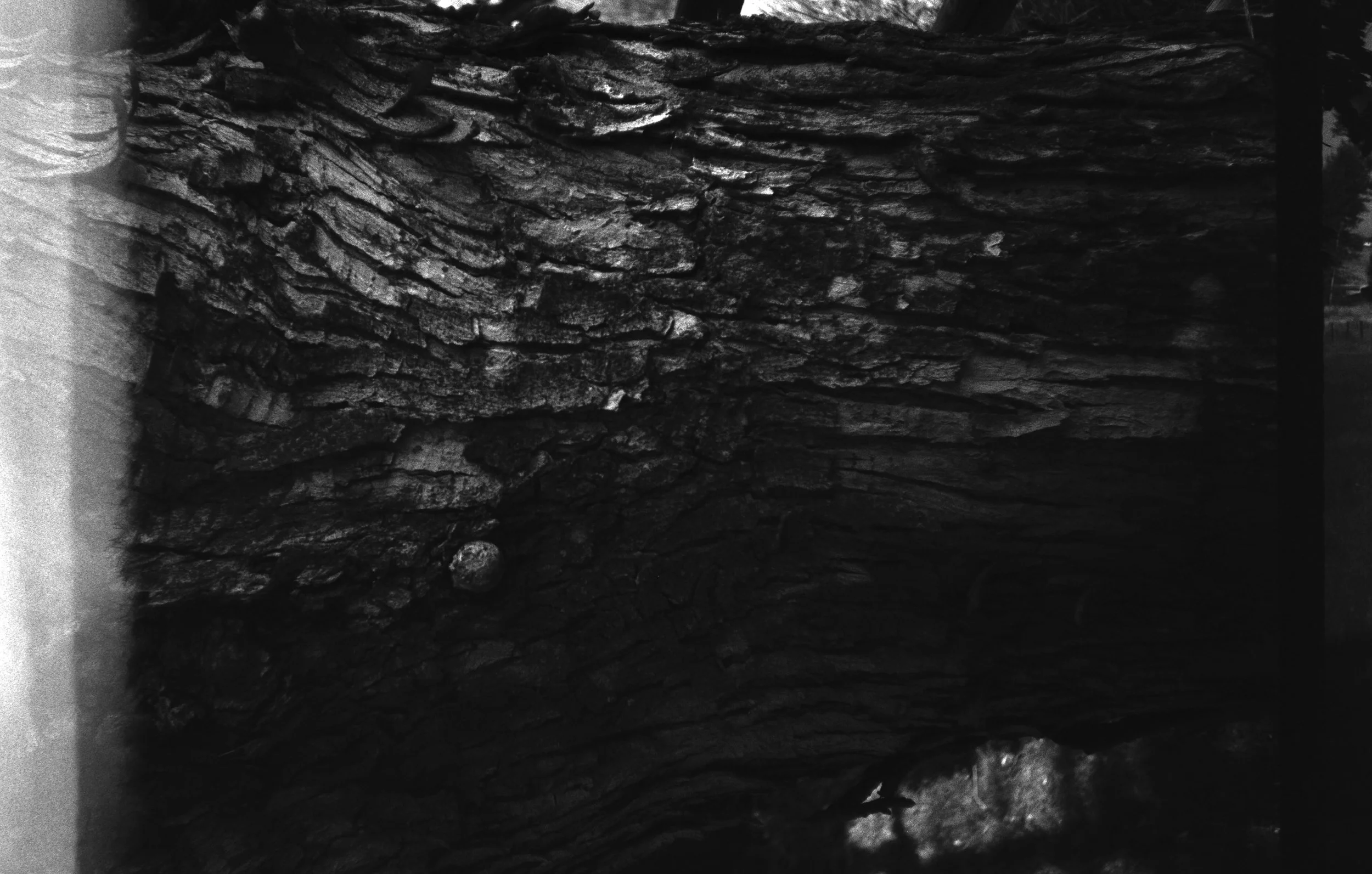 CHINON_TEST_ROLL_HR_9.jpg