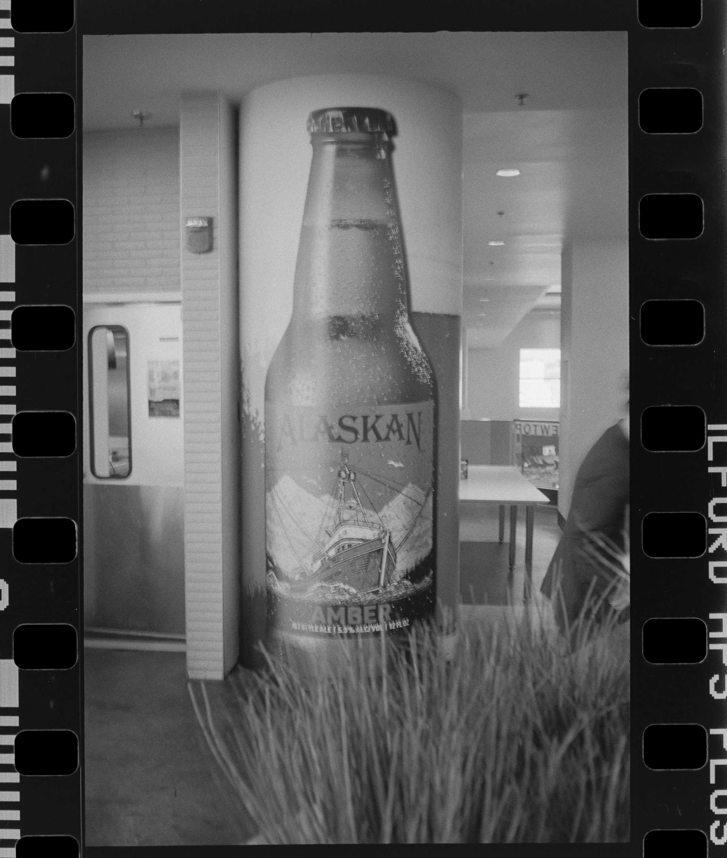 CHINON_TEST_ROLL_2_HR_8.jpg