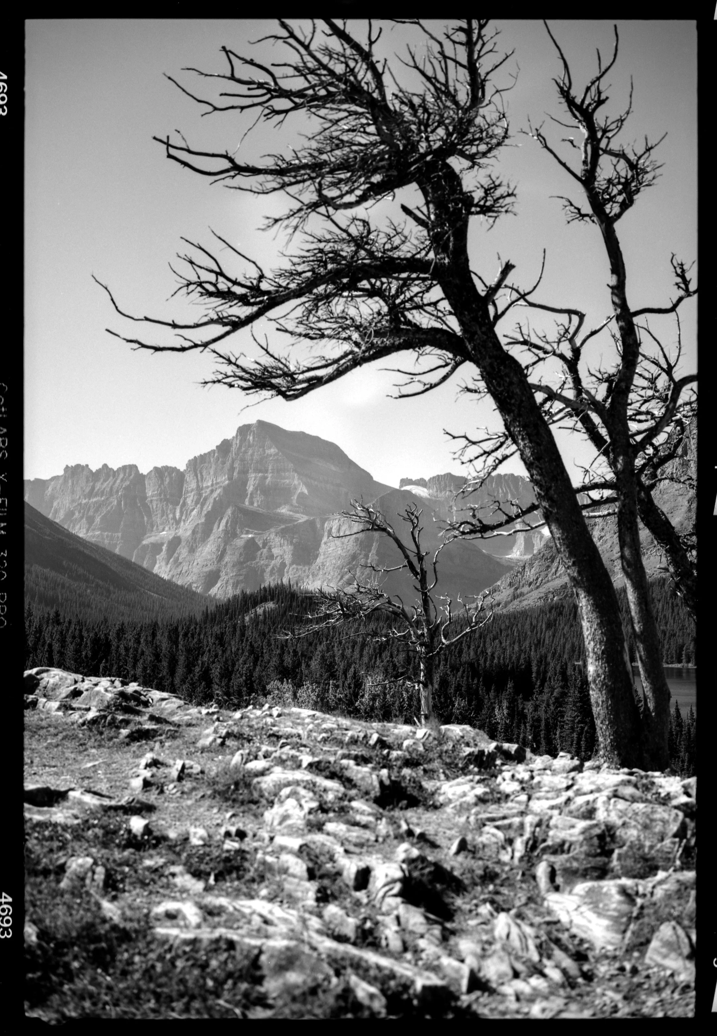 FINISHED_SCANS_MAGAZINE_FILM_IMAGES_30.jpg