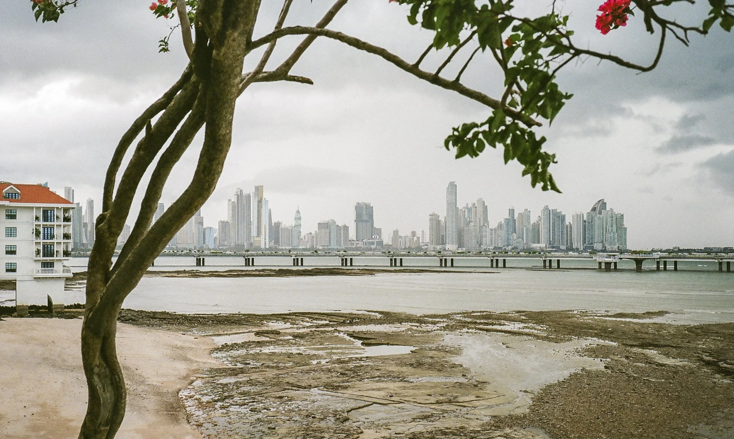 panama_film_117.jpg