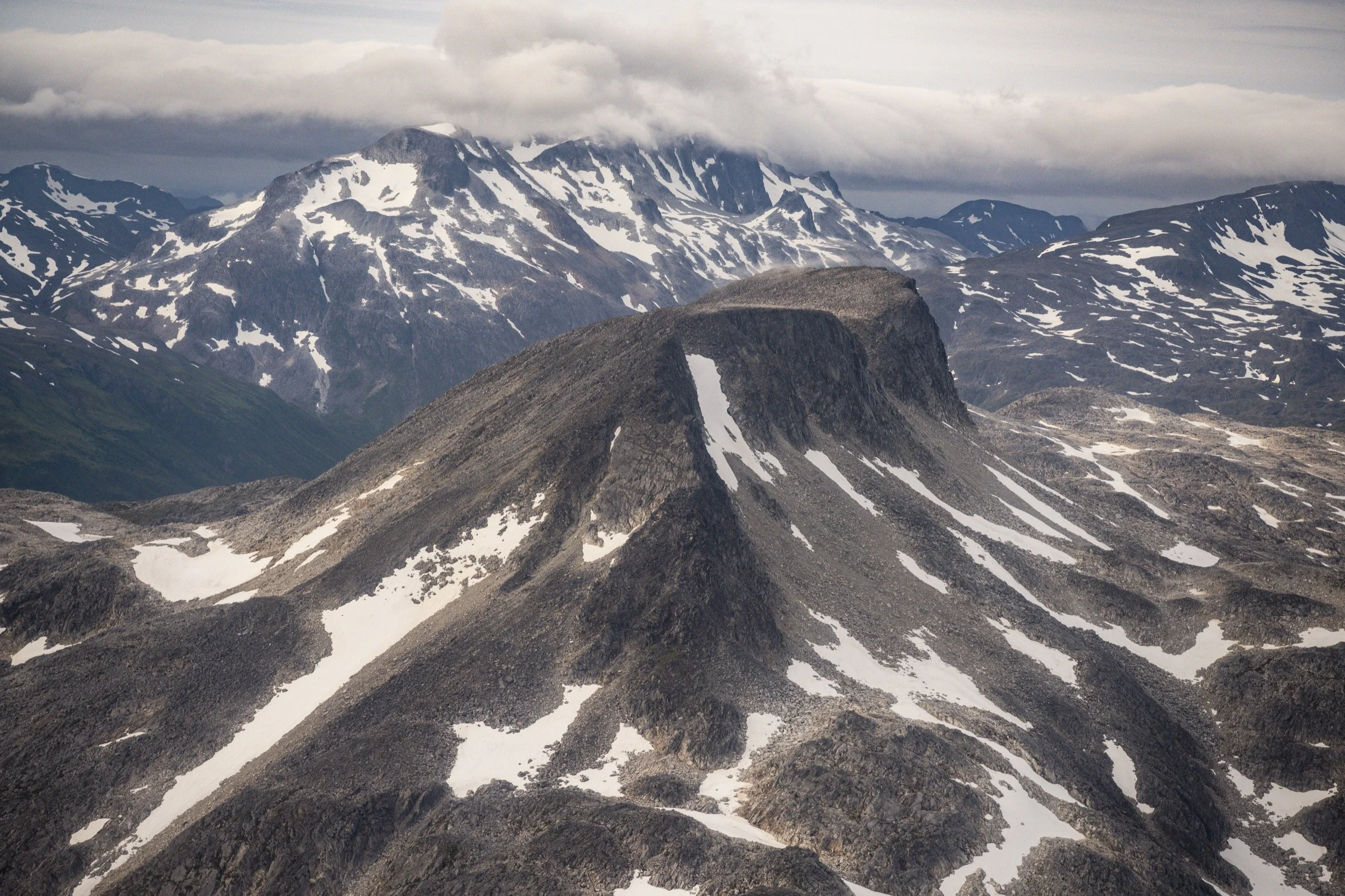 KODIAK_FINISHED_EDITS_HR_334.jpg