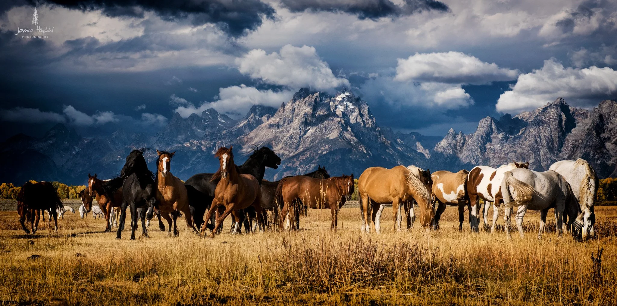 tetons_2016_58web copy.JPG