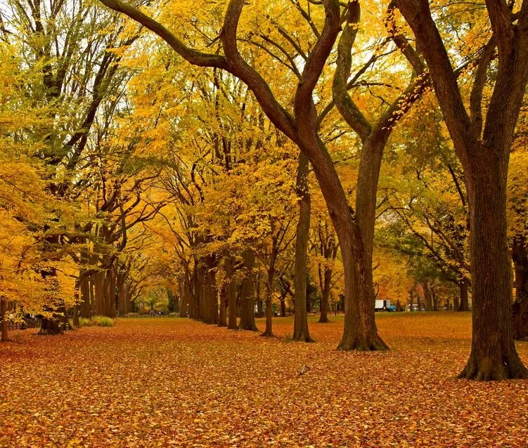 10020944_s.jpg