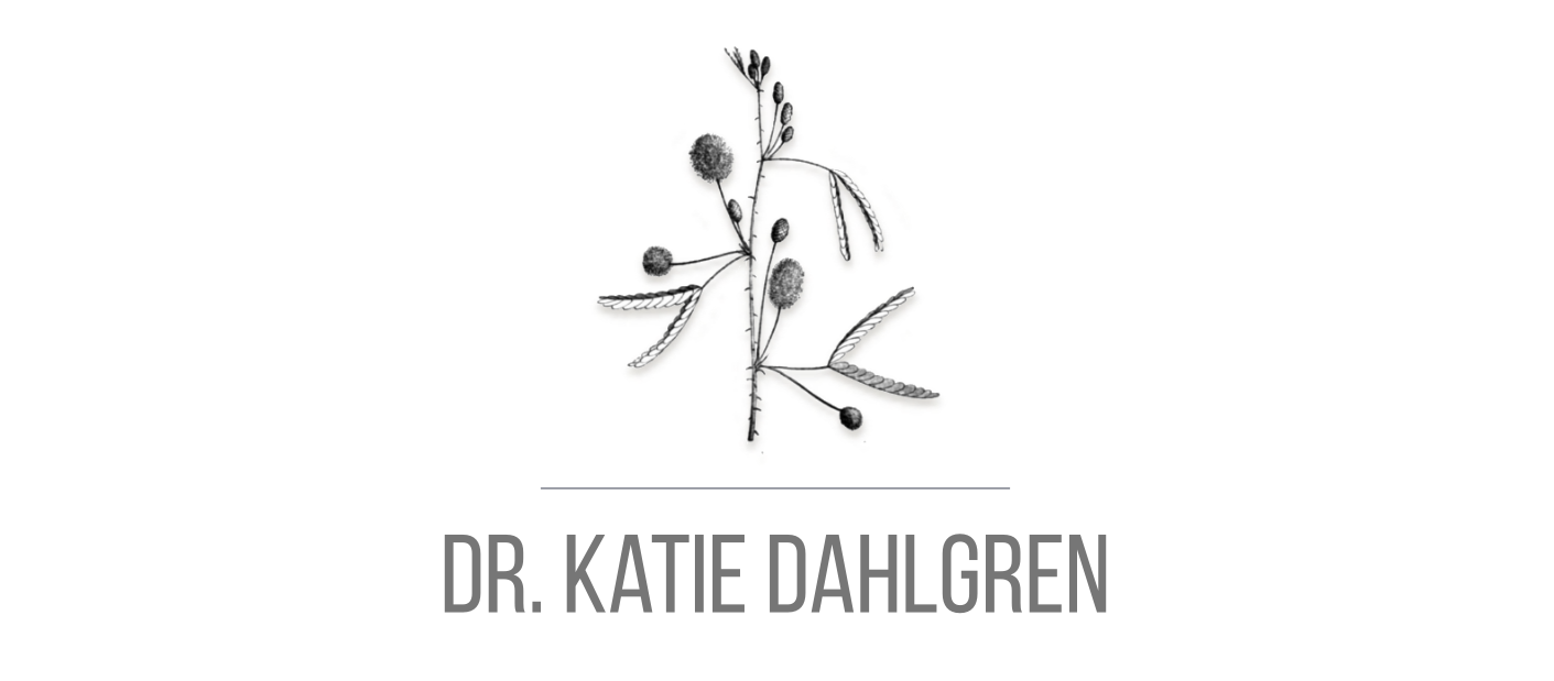 dr. katie dahlgren