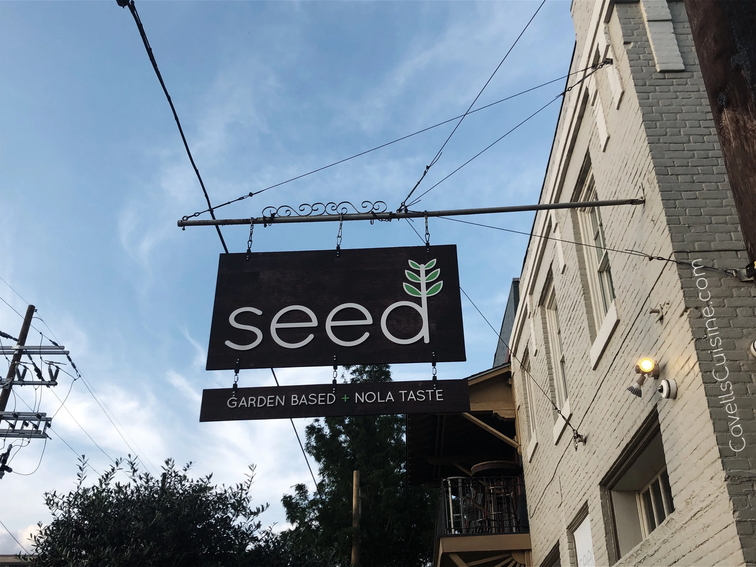 Seed