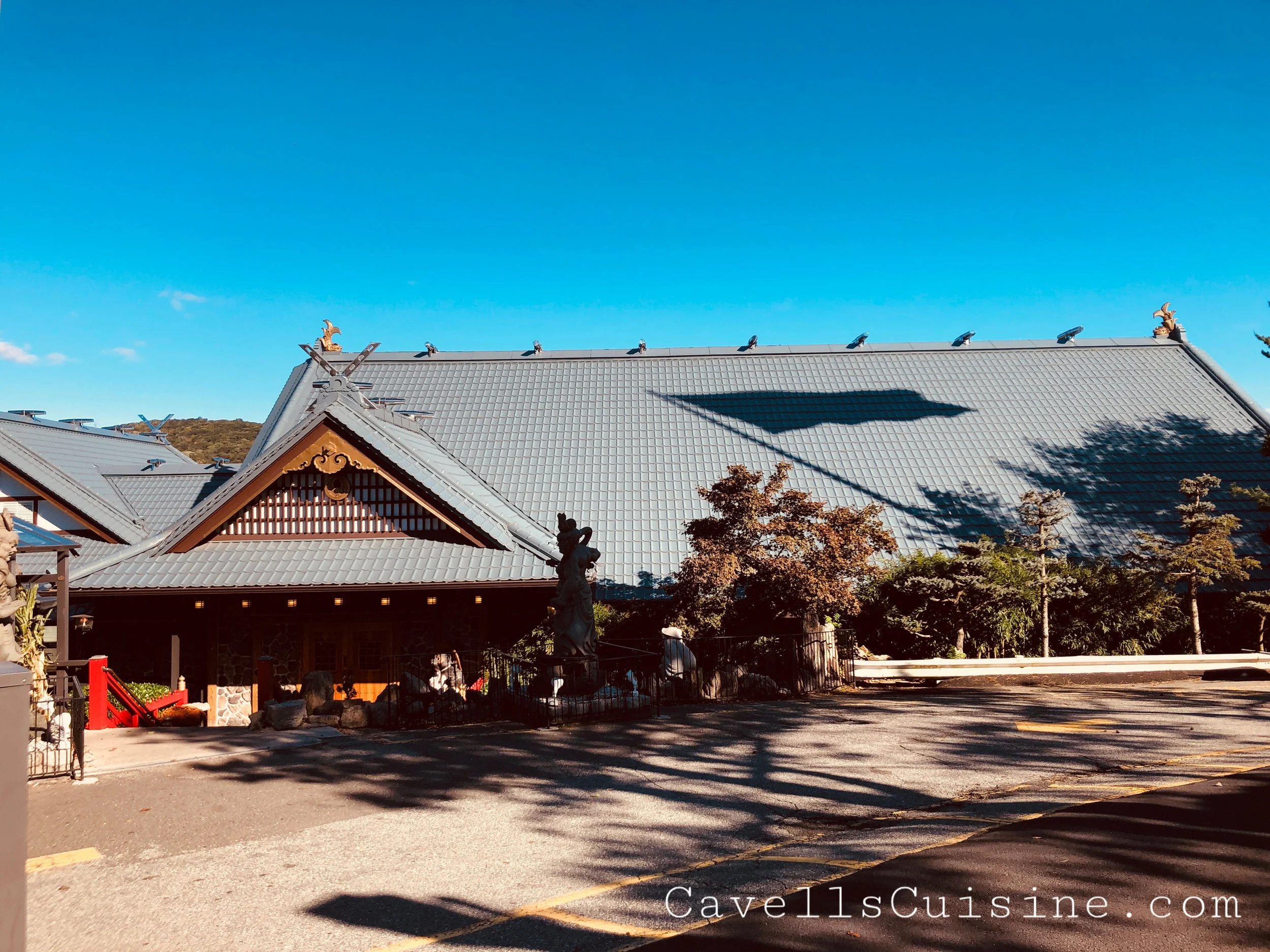 Mt. Fuji Japanese Steakhouse- Hilburn