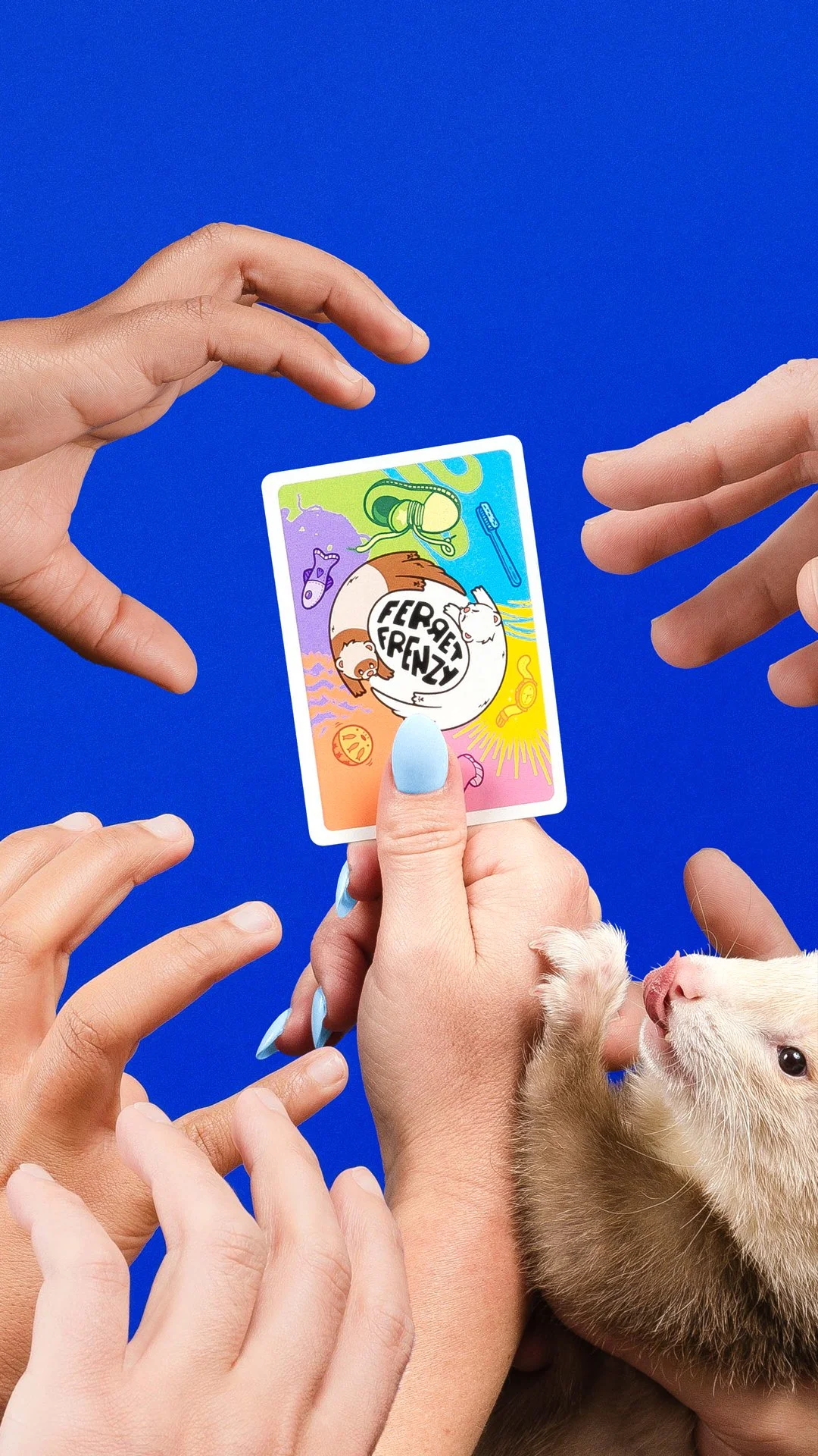 Ferret-Frenzy_Gimme_9.16.jpg