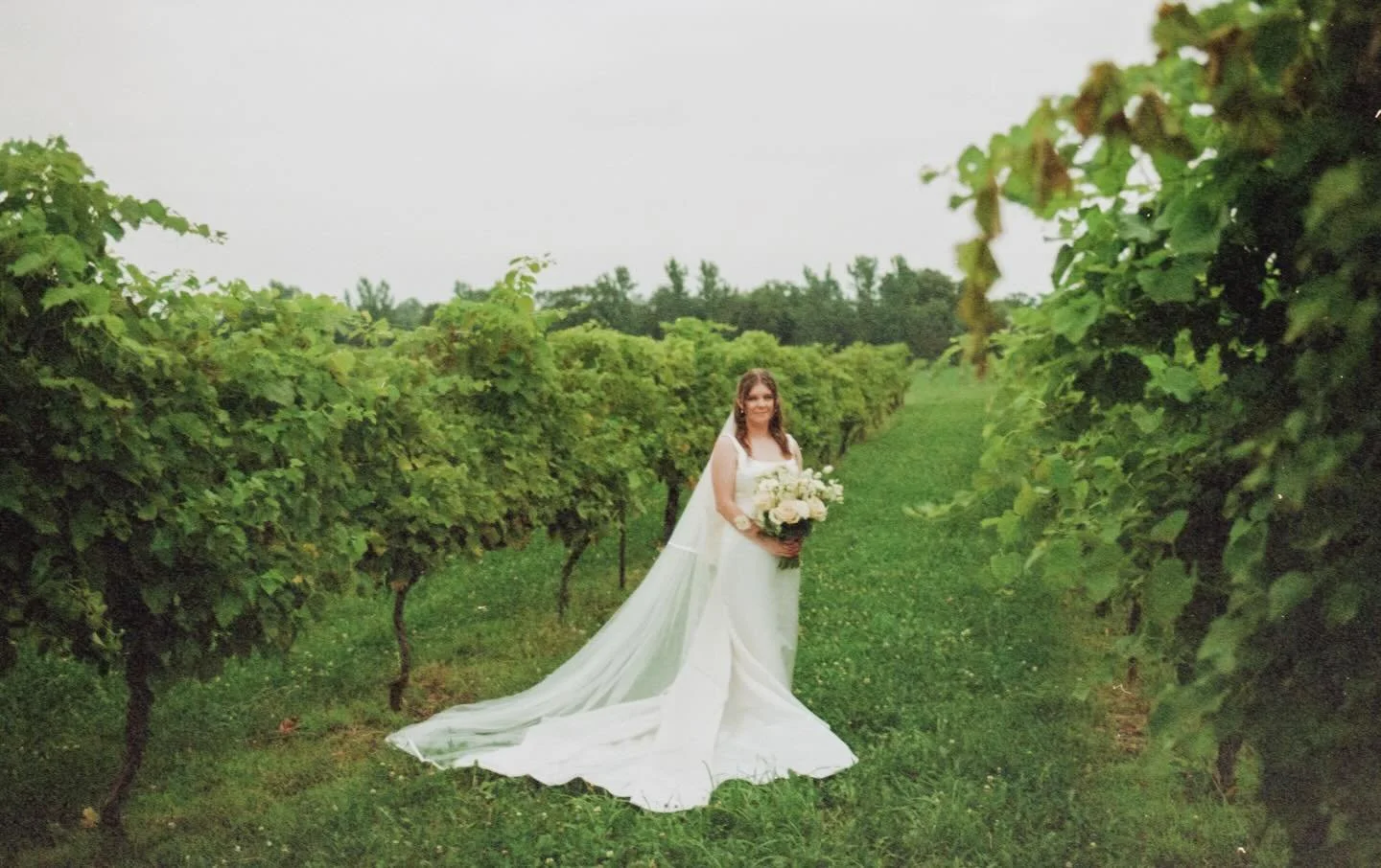Some gorgeous wedding film to end the year off right ✨ 

Venue: @carloscreekwinery 
Florist: @creationsweddingsevents 
DJ: @pro_sound_light_show 
Dress: @anthropologieweddings 
Suit: @milbernclothingco 
Hair: @alexismorris_hair 
Makeup: @onsitehairan