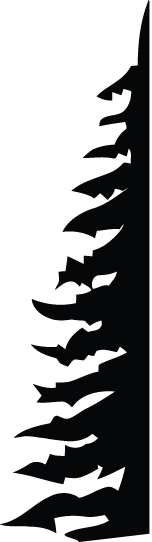 true north destinations tree.png