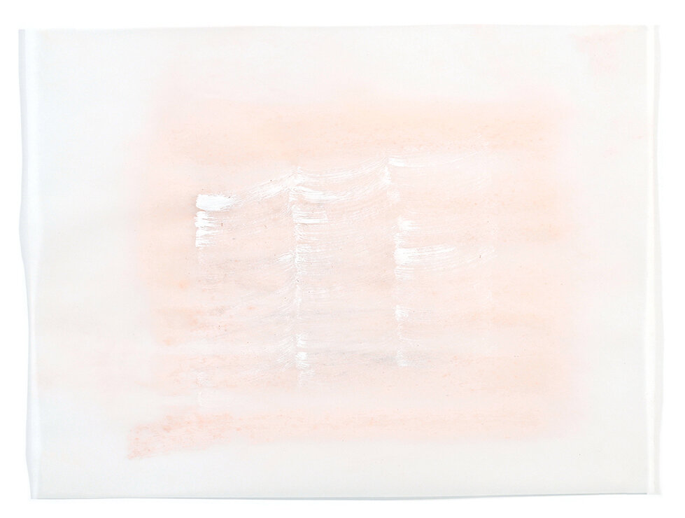   Translation &amp; Response No. 2  , pastel, gesso on vellum 12 × 9 in ( 30.5 x 22.9 cm ) 2020 