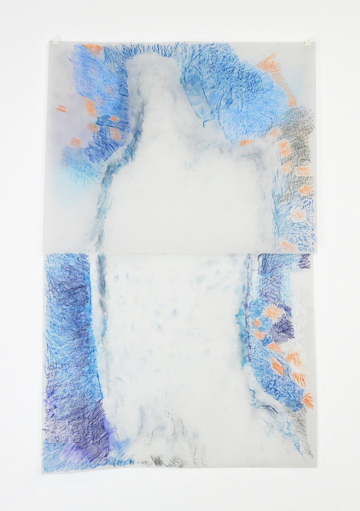   Pipevine Swallow Spirit , Pastel, pencil on vellum, 38 x 24, 2 layers 2021 