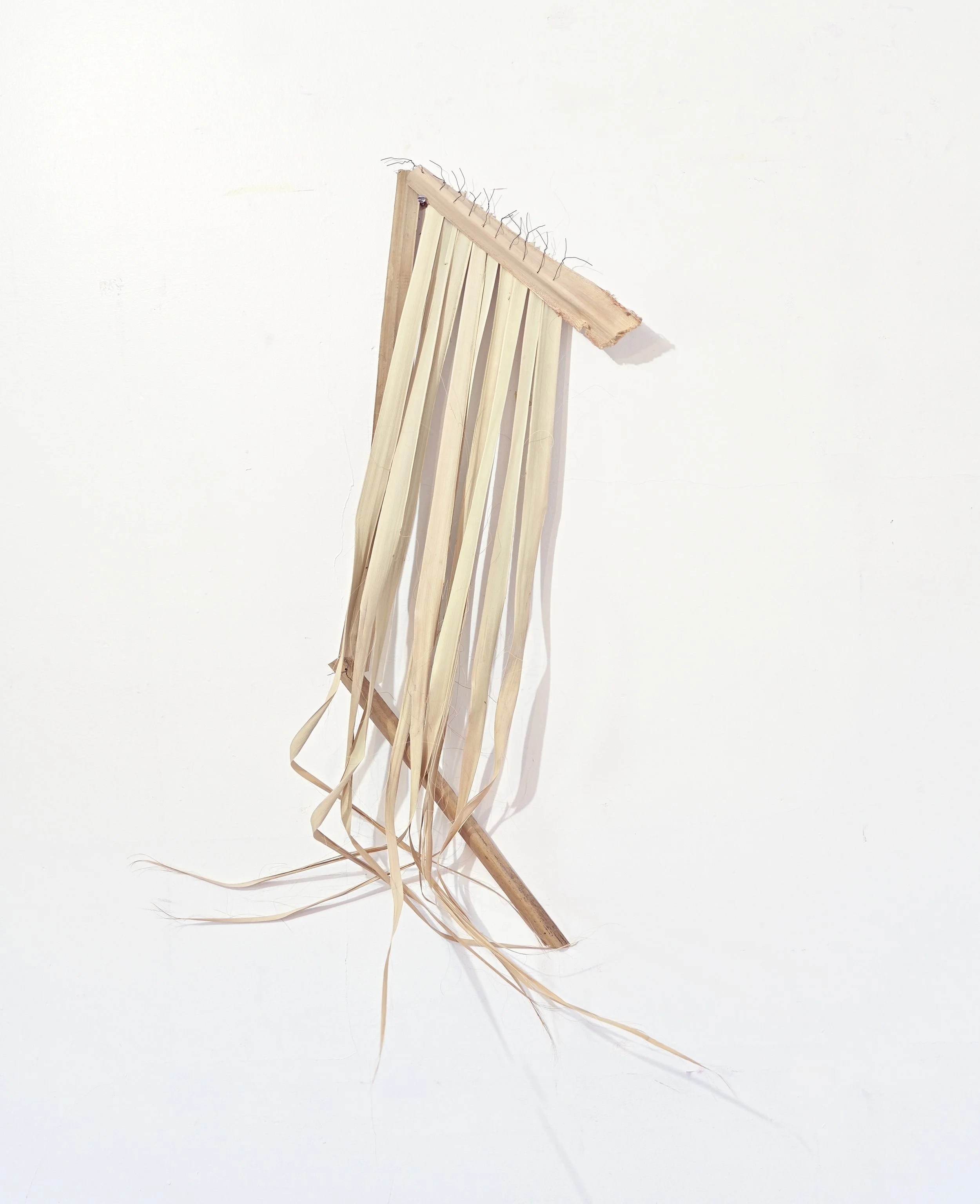 Breeze window , found palm stalks, palm leaves, wire, 2024