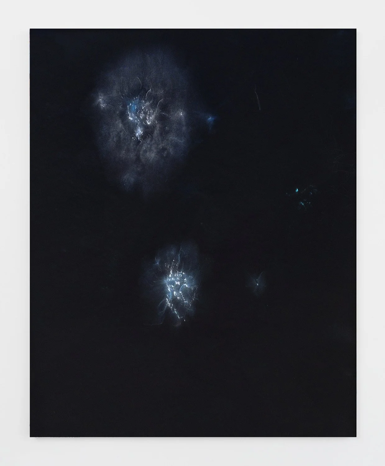  Night vision (1), pastel on vellum, archival print  
