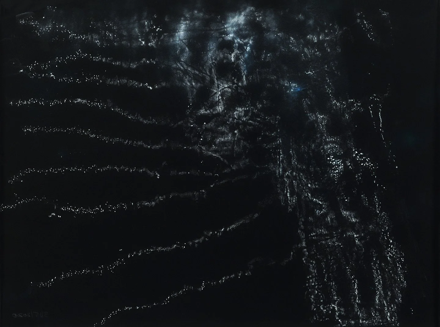  Night vision (2), pastel on vellum, archival print 