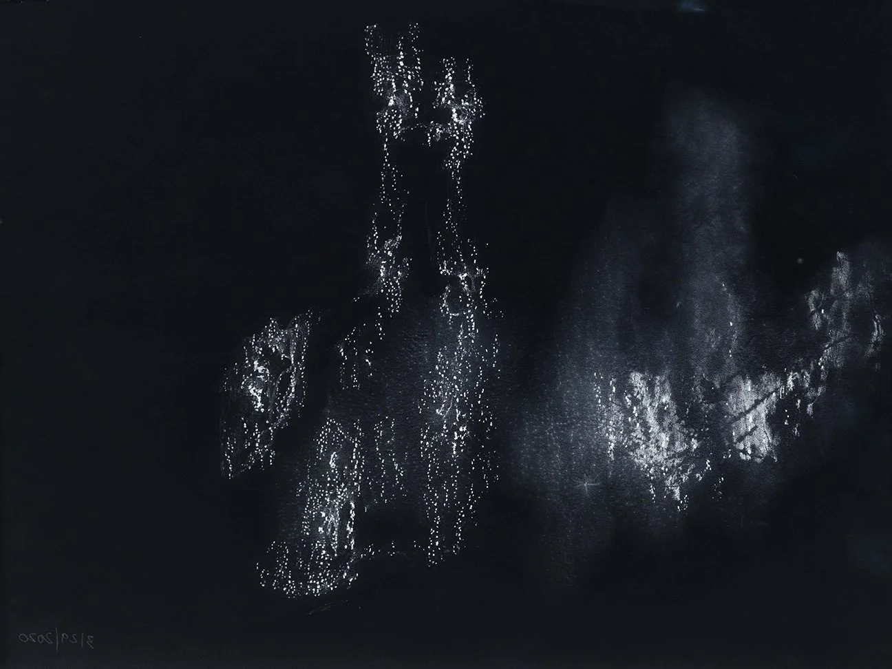  Night vision (3), pastel on vellum, archival print 