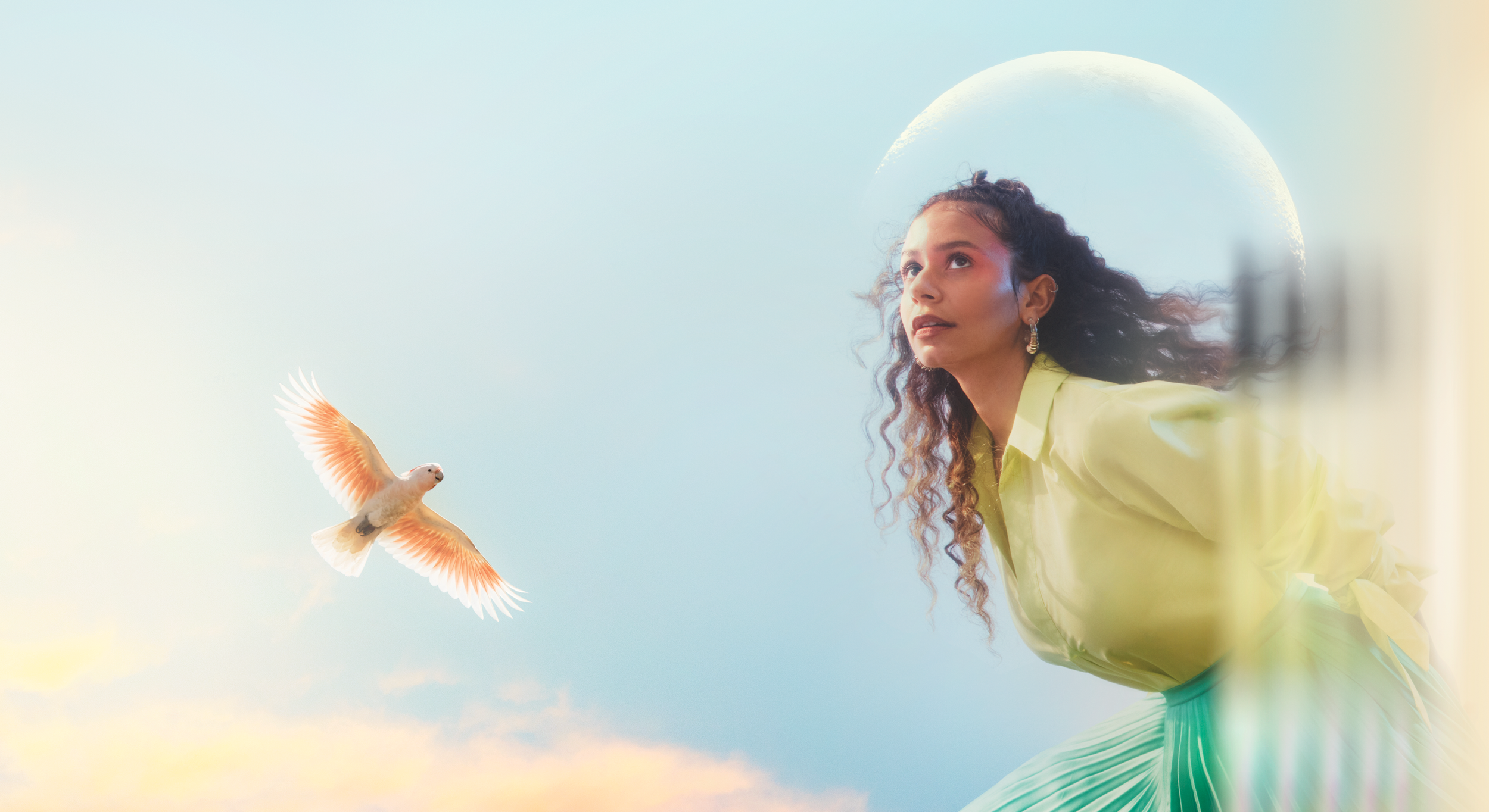 The Magic Flute - Queen of the Night