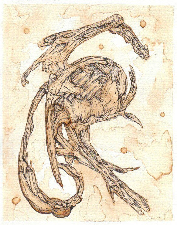 The Creation 2