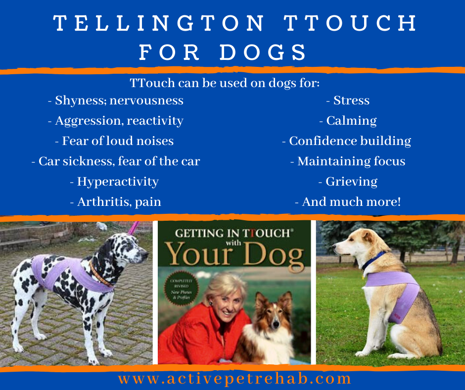 Tellington Touch For Dogs