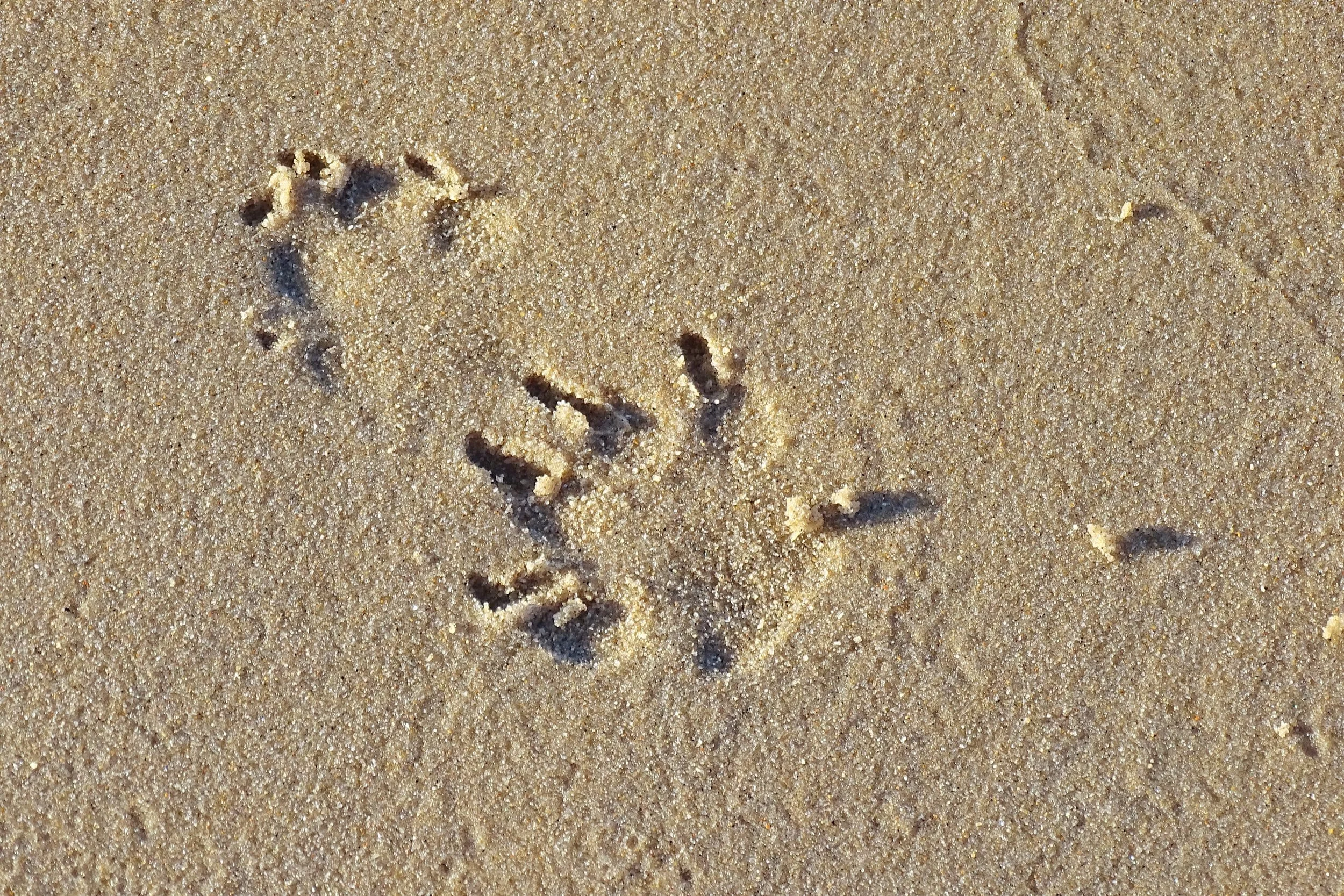 unsplash-image-IXaKCPLPlGA.jpg