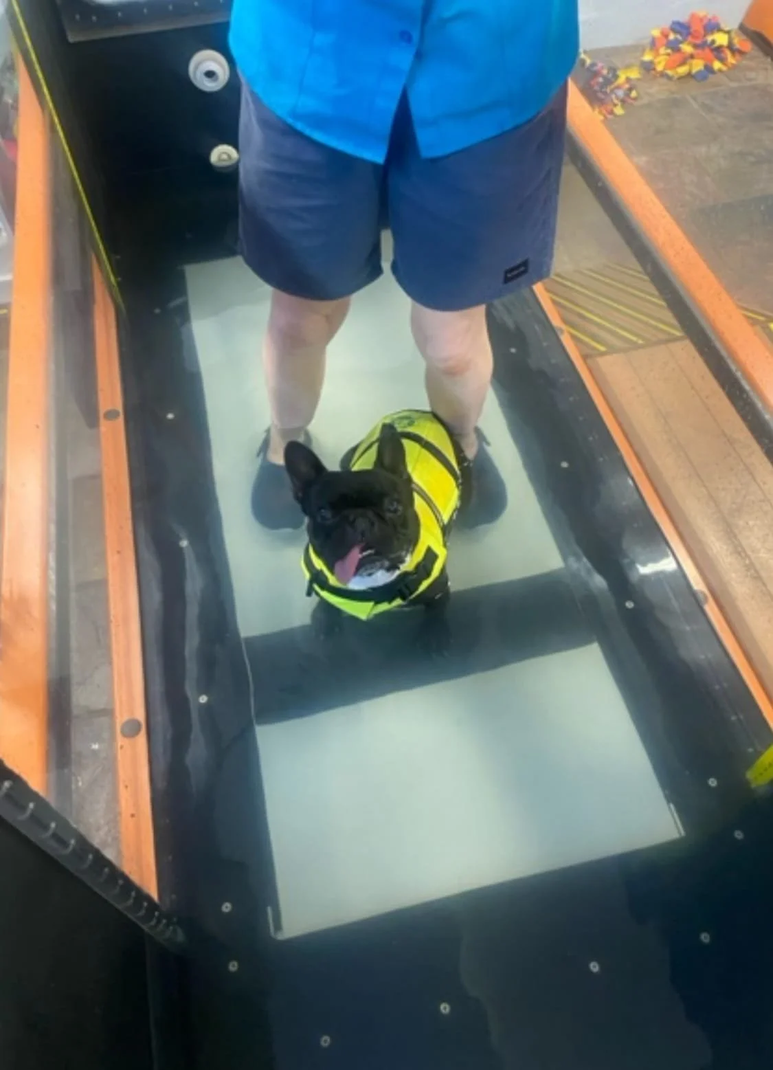 WhatsApp Image 2024-10-27 at 8.23.30 PM (1).jpeg