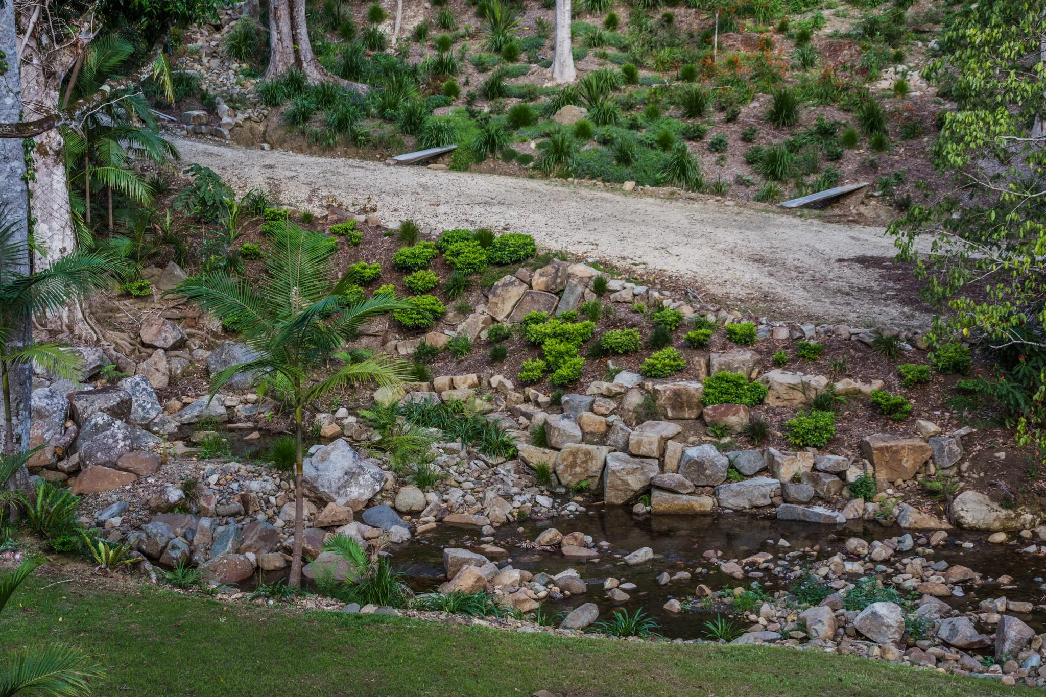DSC_8636.jpg