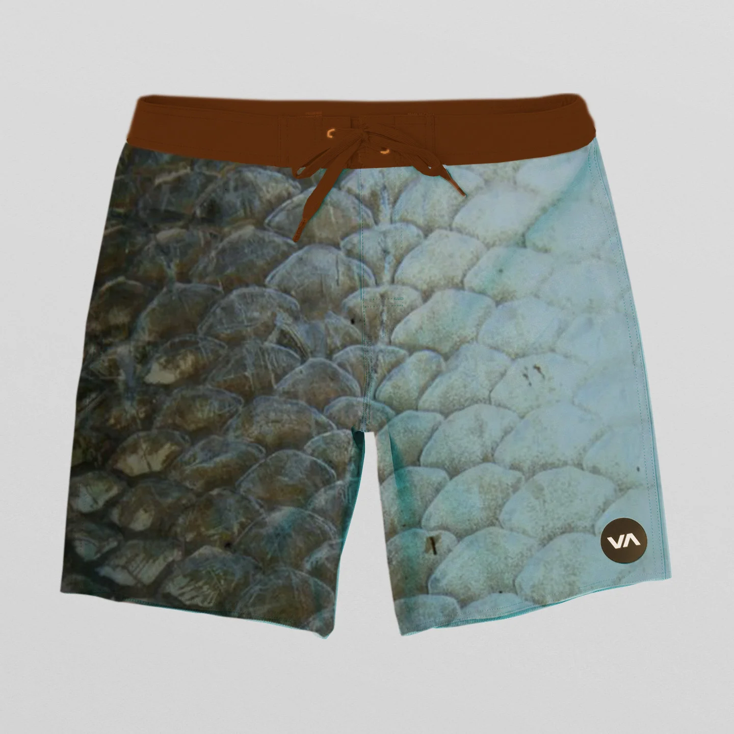 fish.jpg