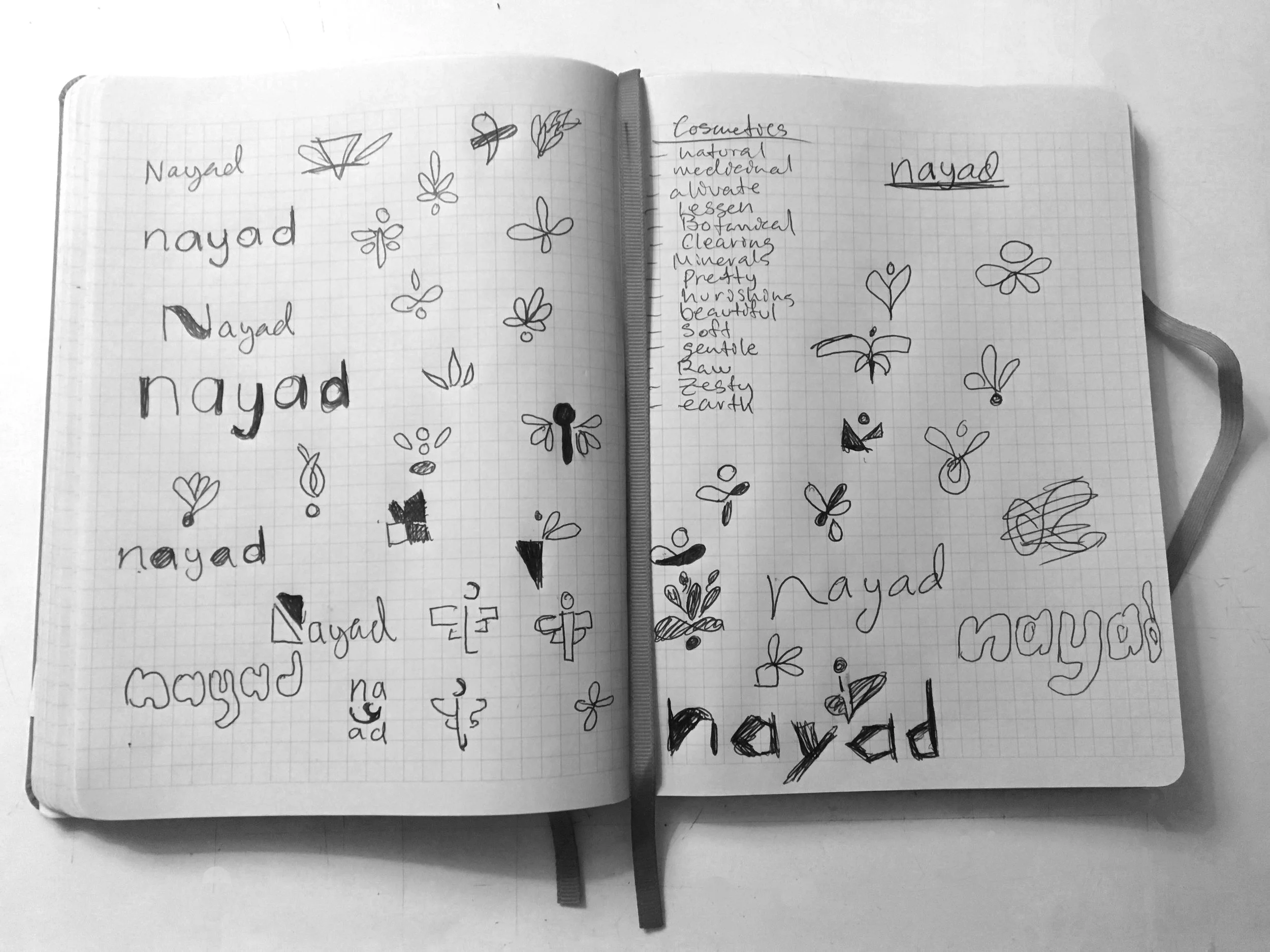 process_pic_nayad_notebook.jpg