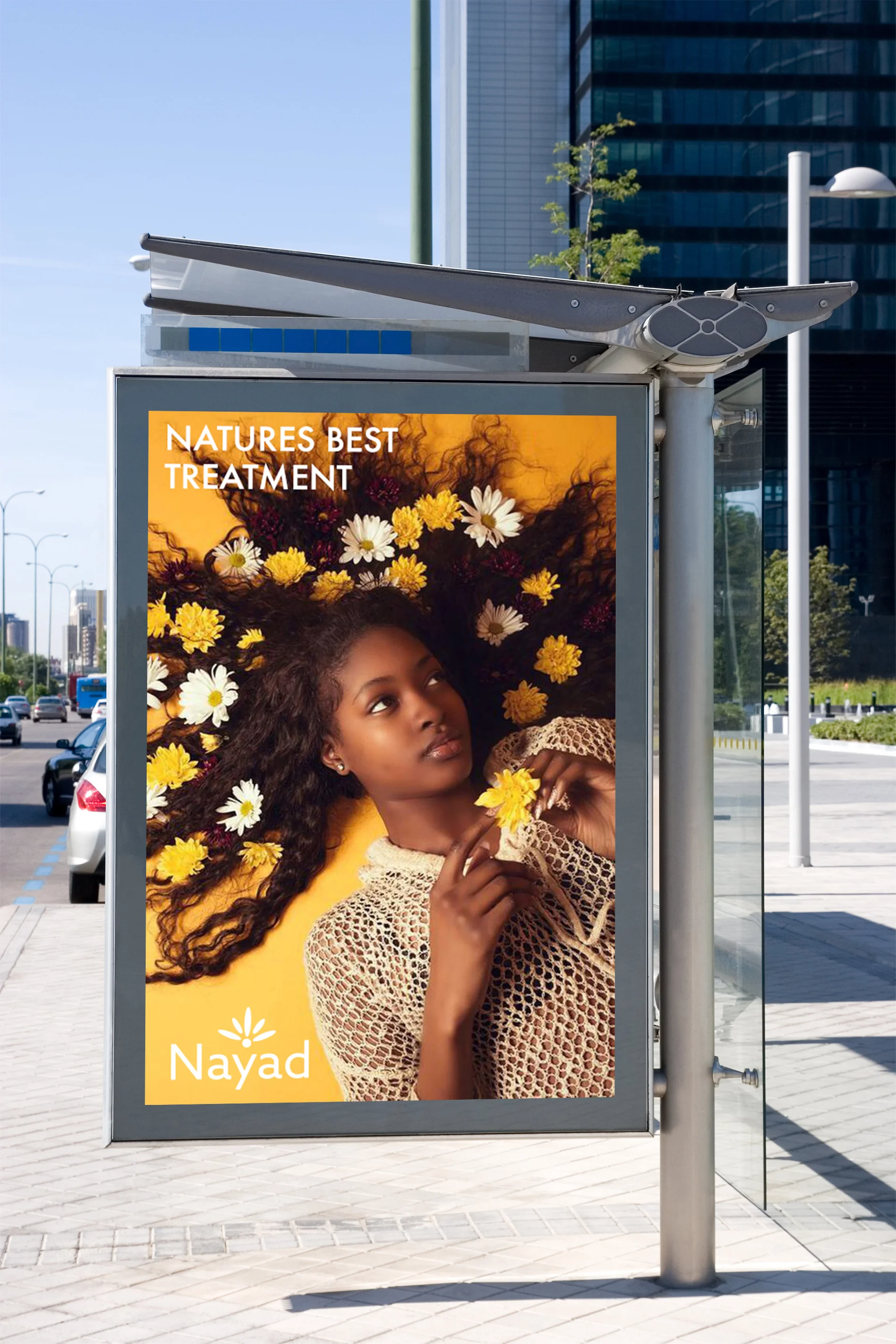 nayad_add.jpg