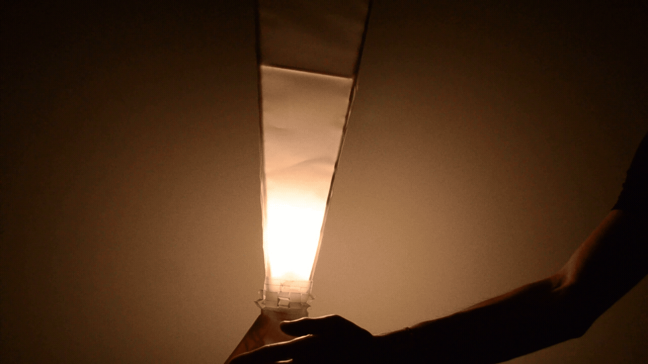 Adobe Express - DSC_0445.gif