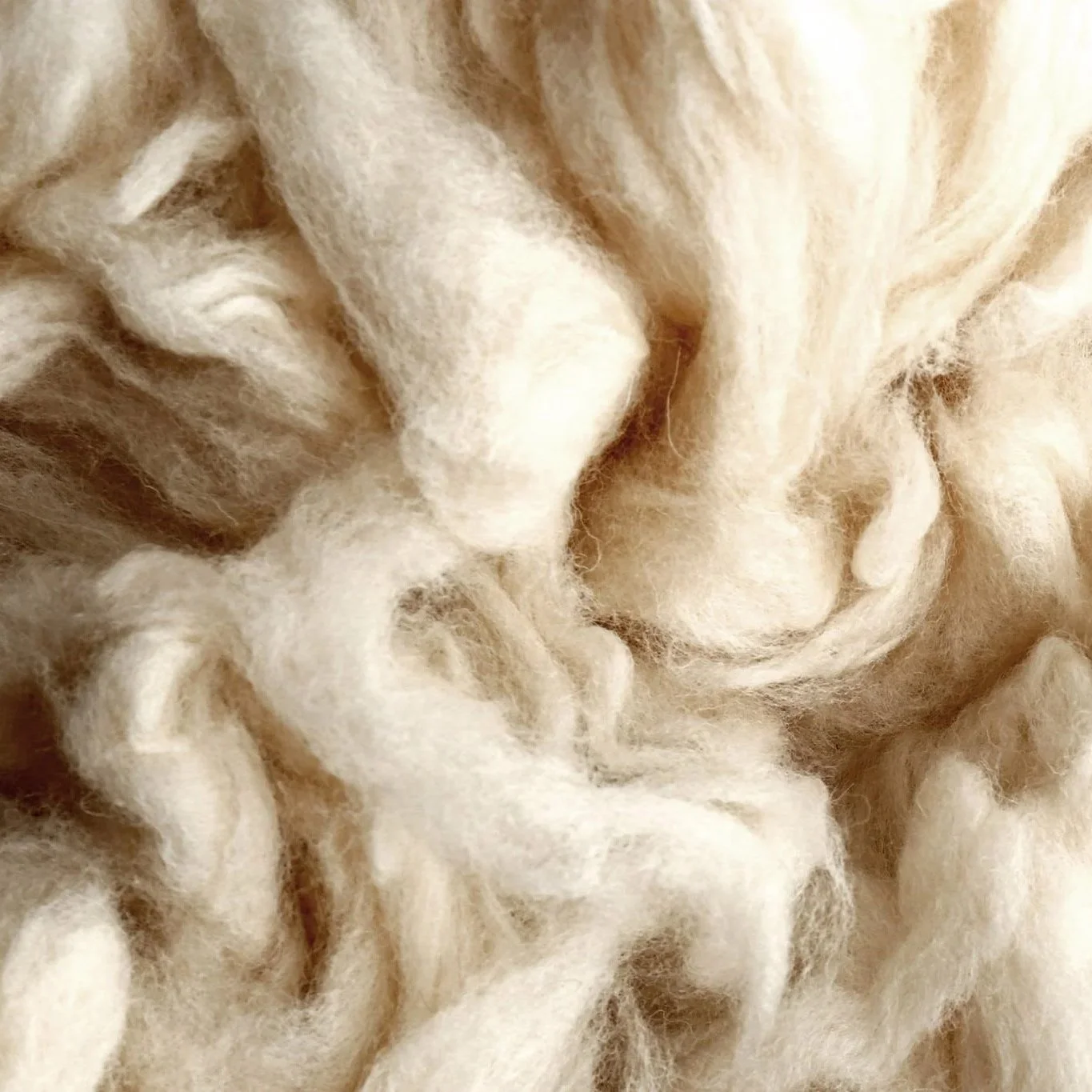 wool.jpg
