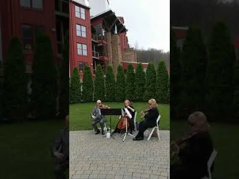 VID 20190414 120409 1