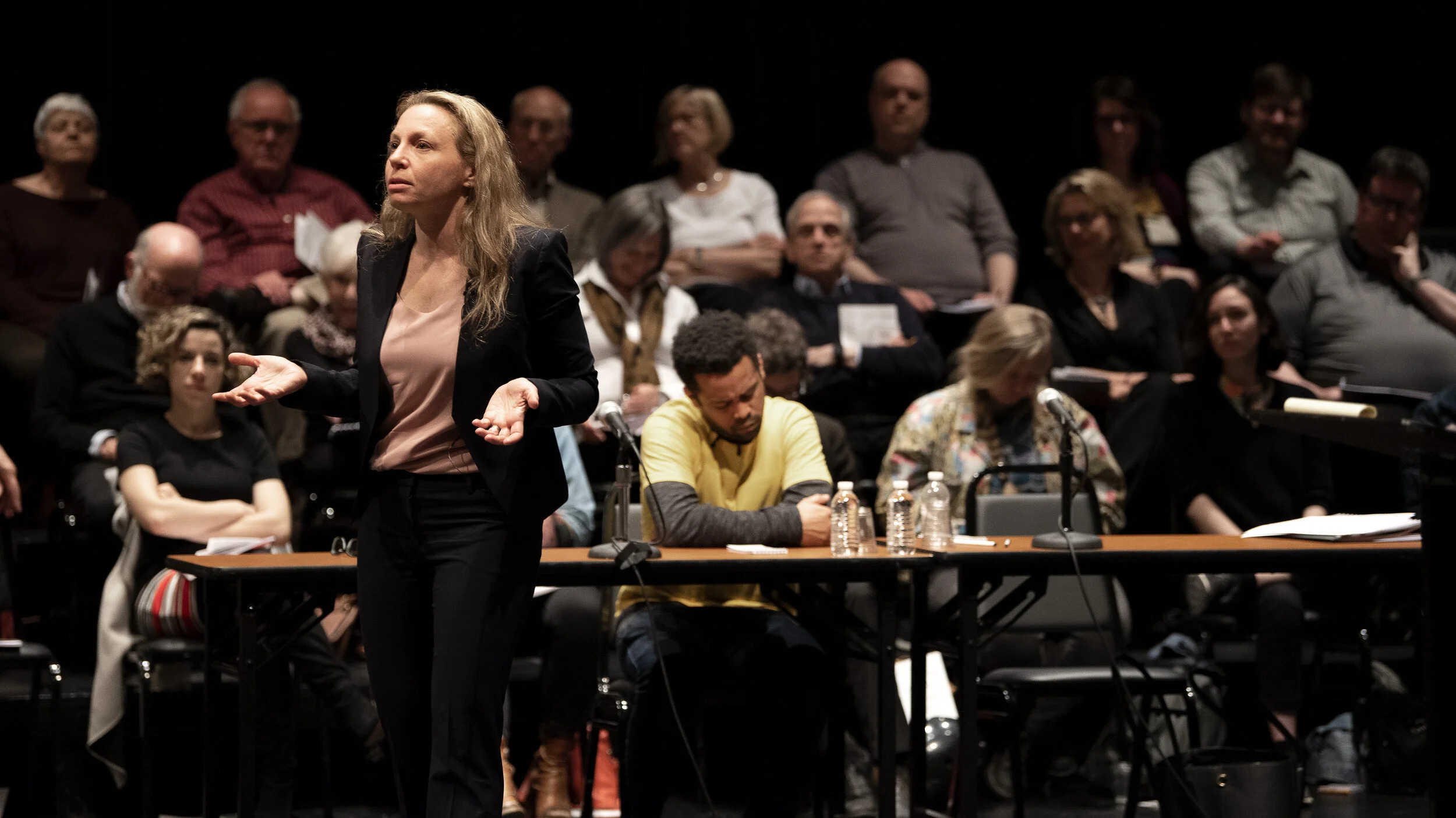 Hamlet Defense 2.jpg