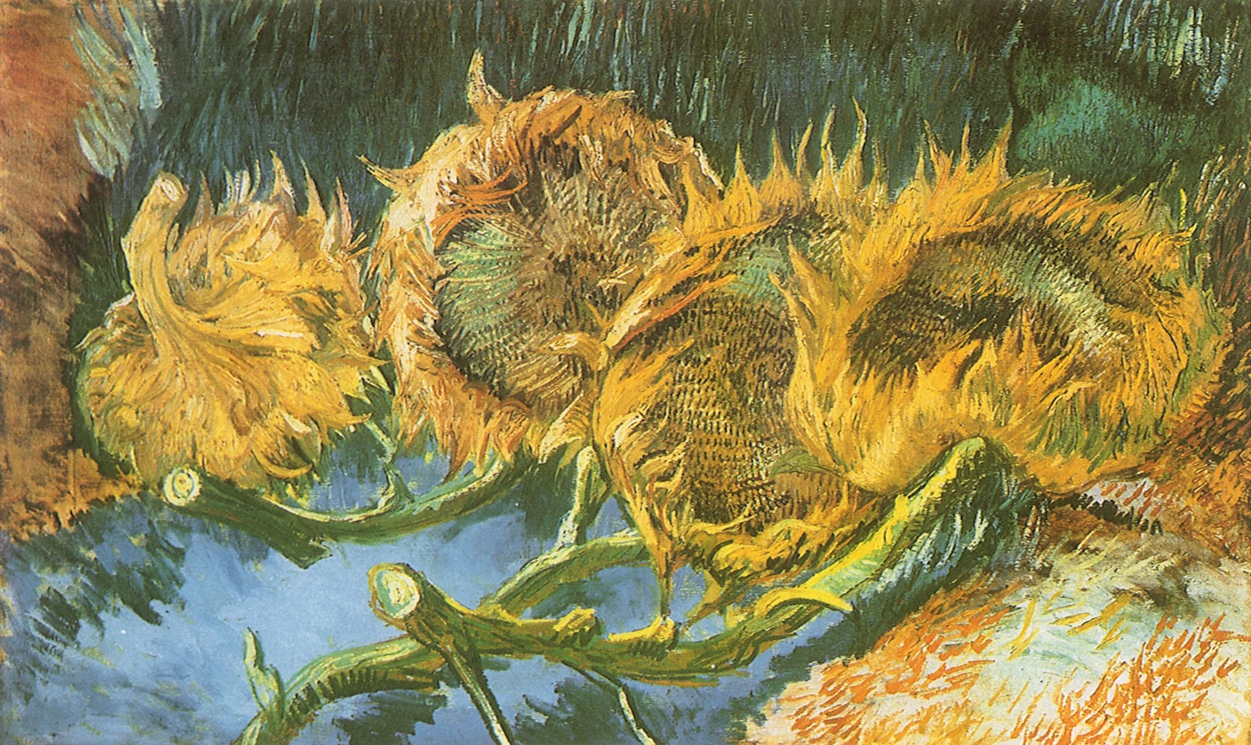 Vincent Sunflowers.jpg