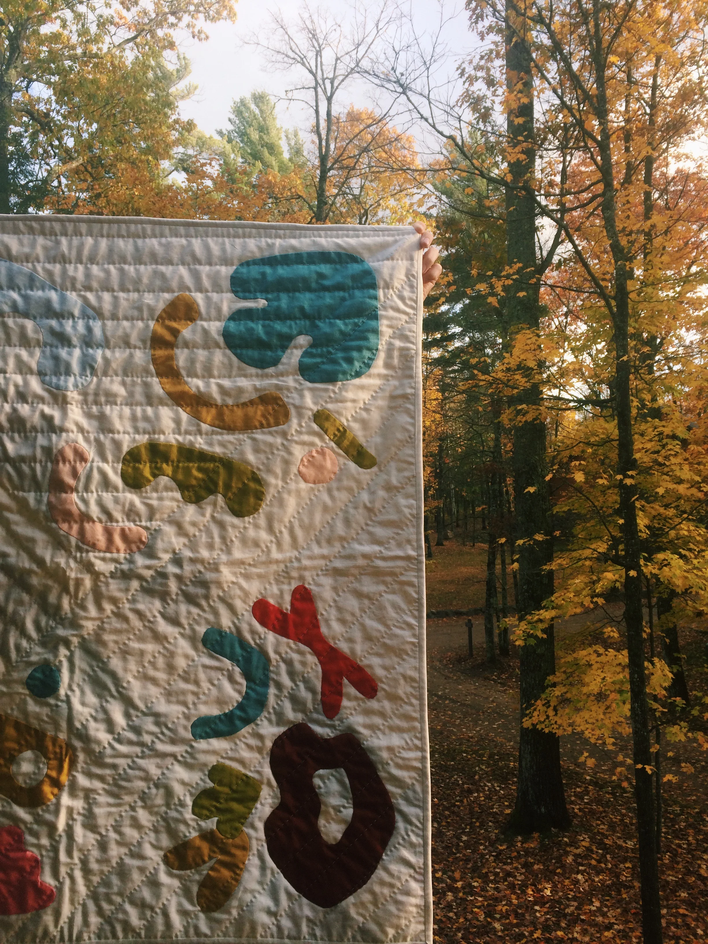 My second abstract shapes applique quilt, this size baby-blanket-sized. Made throughout a move to the woods, shapes mostly sewn in the car, quilting done on the floor of a new apartment while on the phone with much-missed friends. A quilt marking transition. 