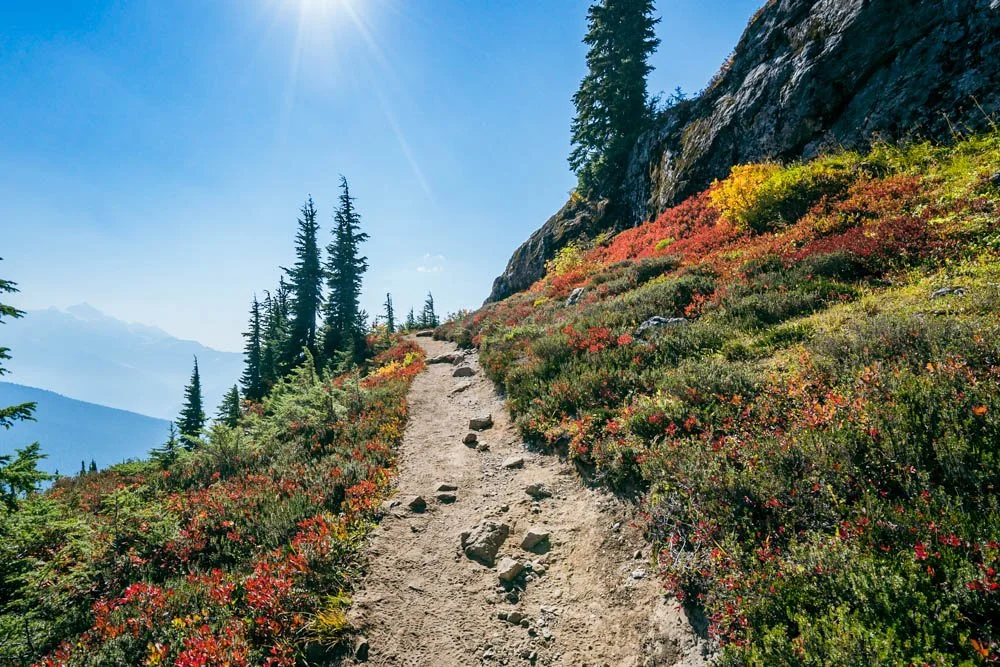 Yellow Aster Butte: One of the Most Jawdropping Hikes in the North