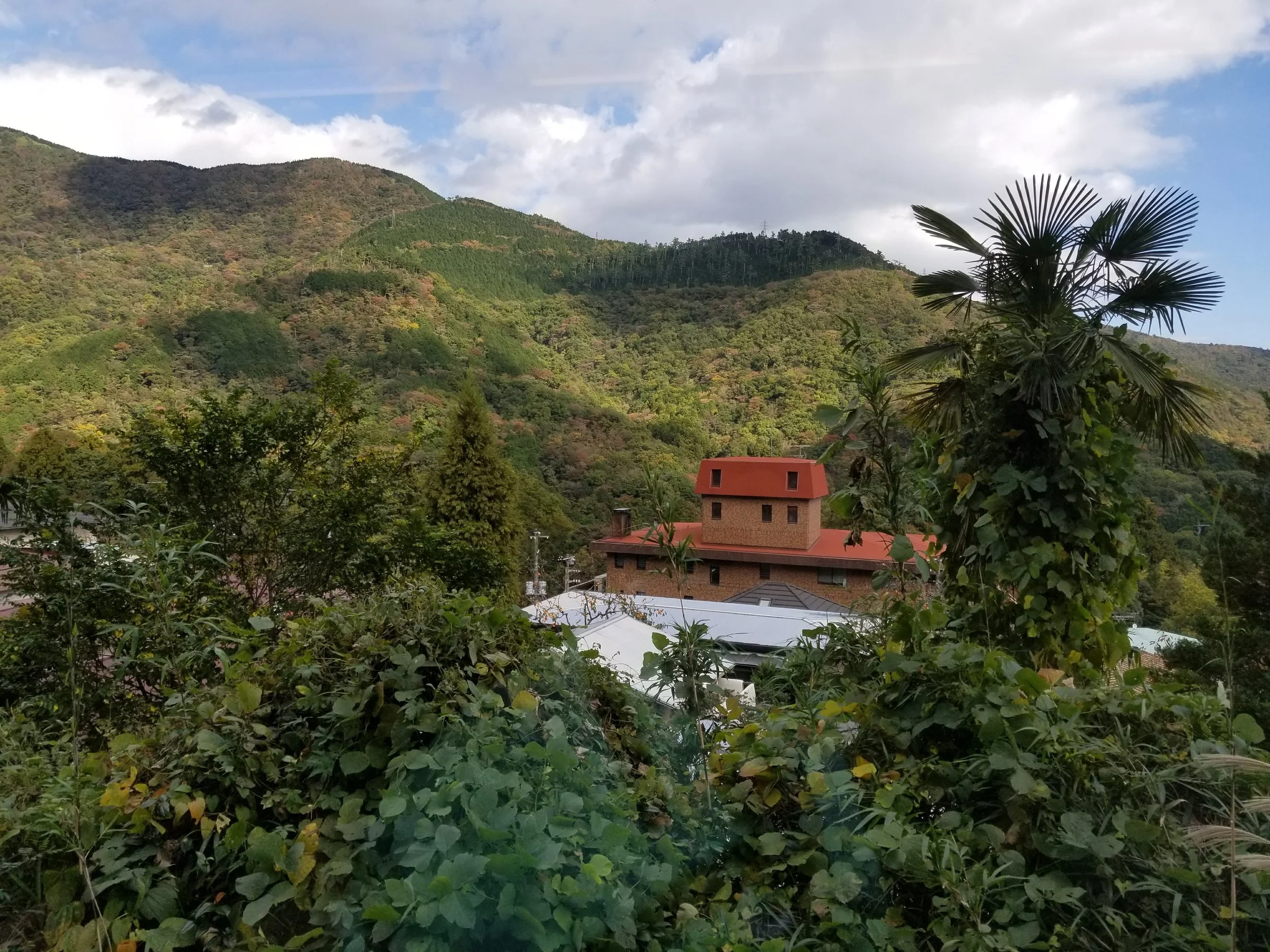 Not terrible views from the train on the way to Hakone.