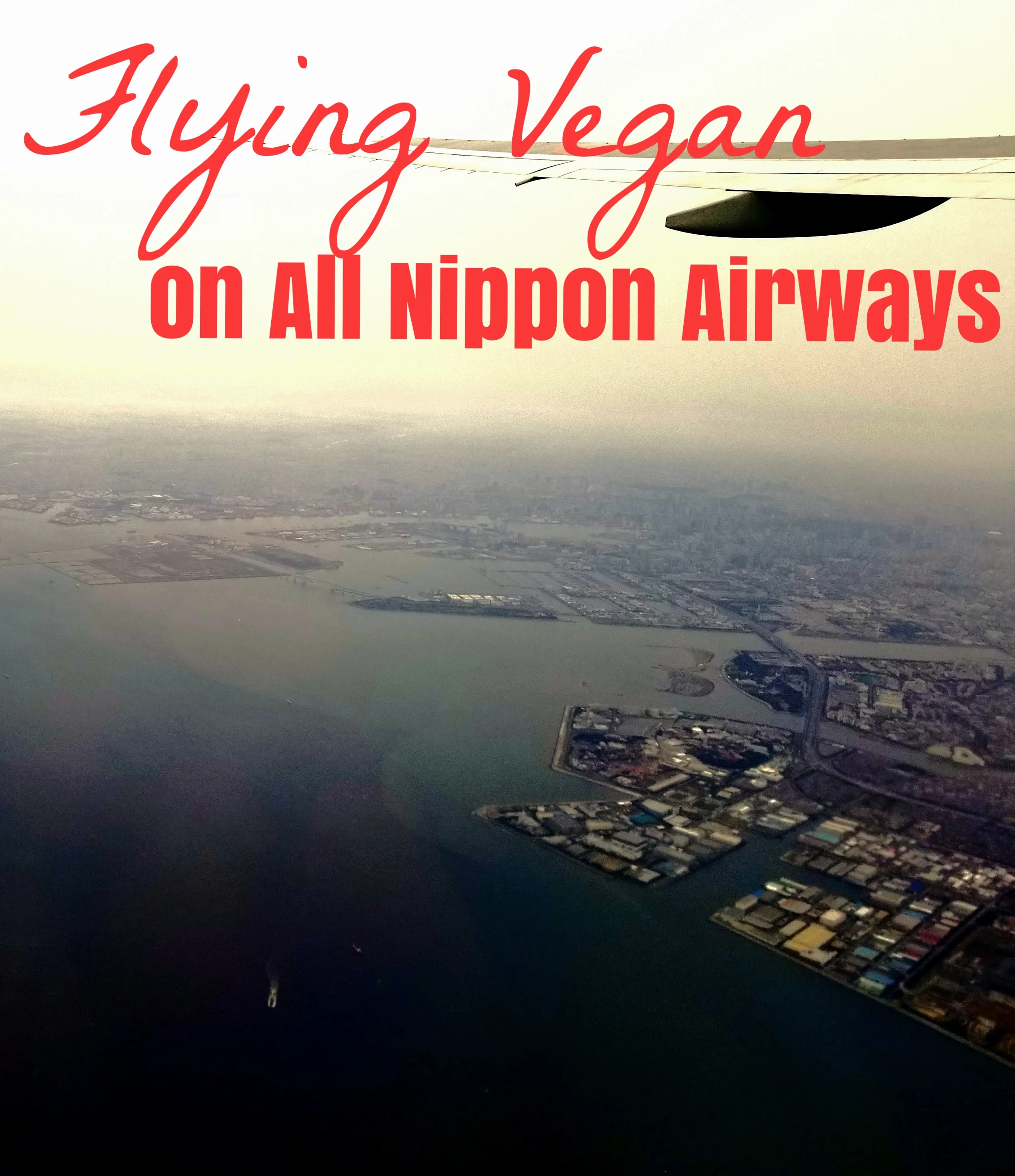 uprooted-traveler-ana-all-nippon-airway-tokyo-harbor.jpg