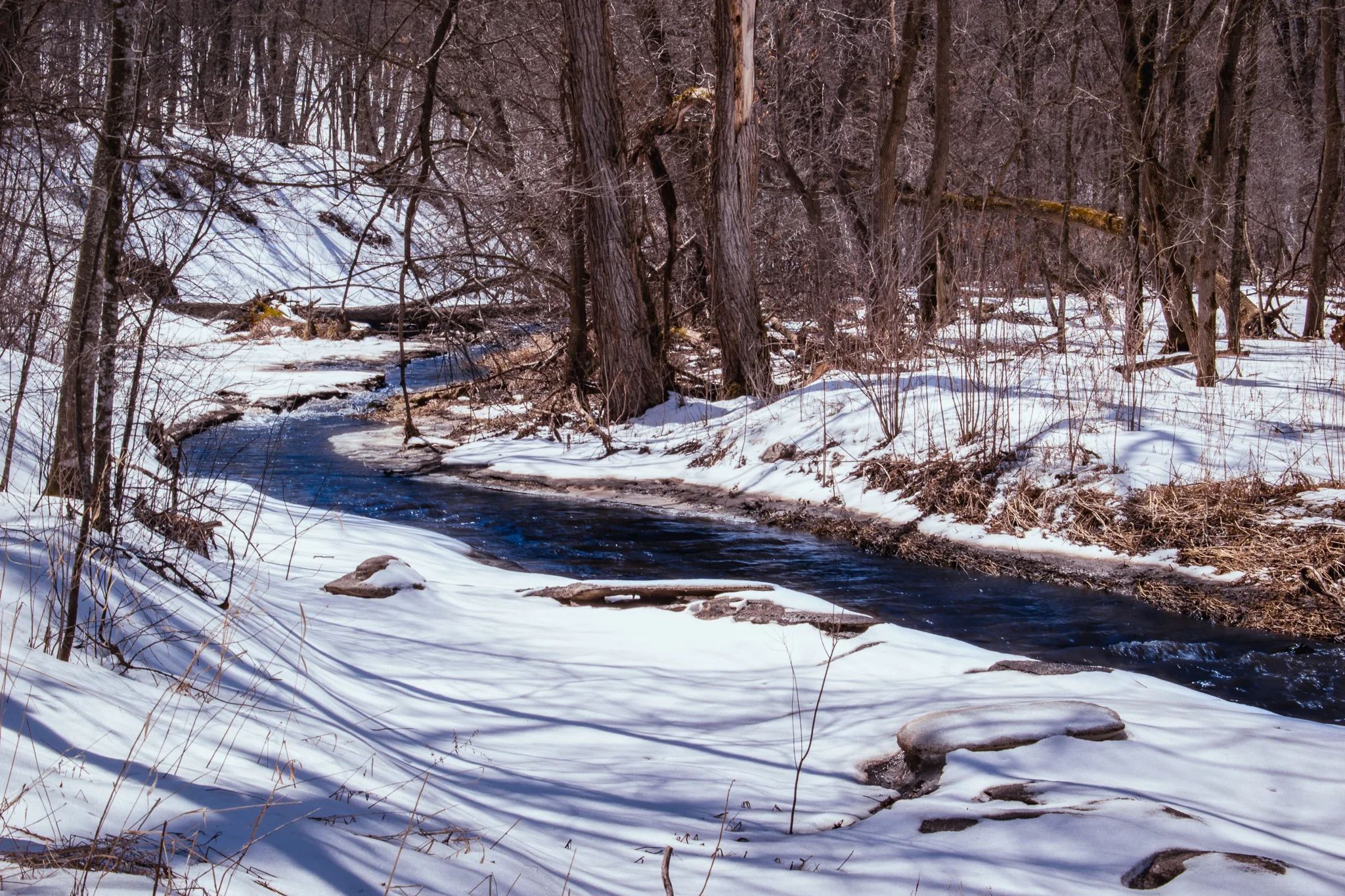 uprooted-traveler-nerstrand-big-woods-state-park-prarie-creek-minneapolis.jpg