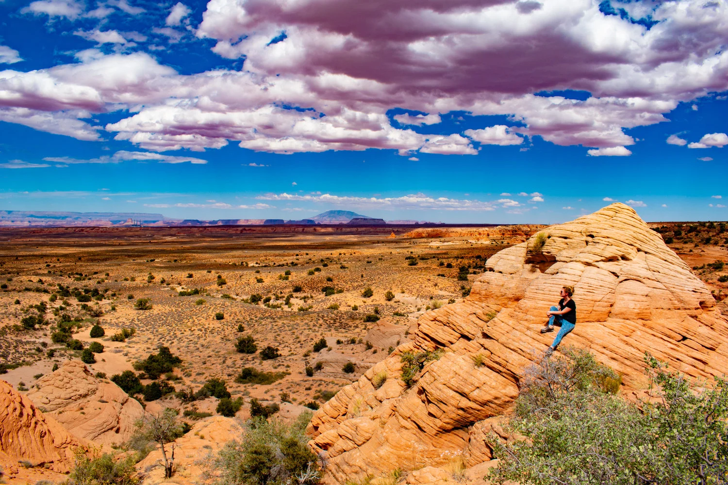 uprooted-traveler-highway-89a-page-road-trip-vegan.jpg