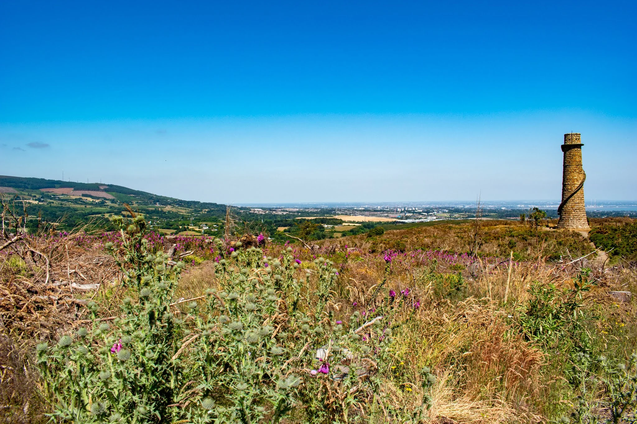 uprooted-traveler-dublin-ireland-mountains-vegan-guide-wicklow.jpg