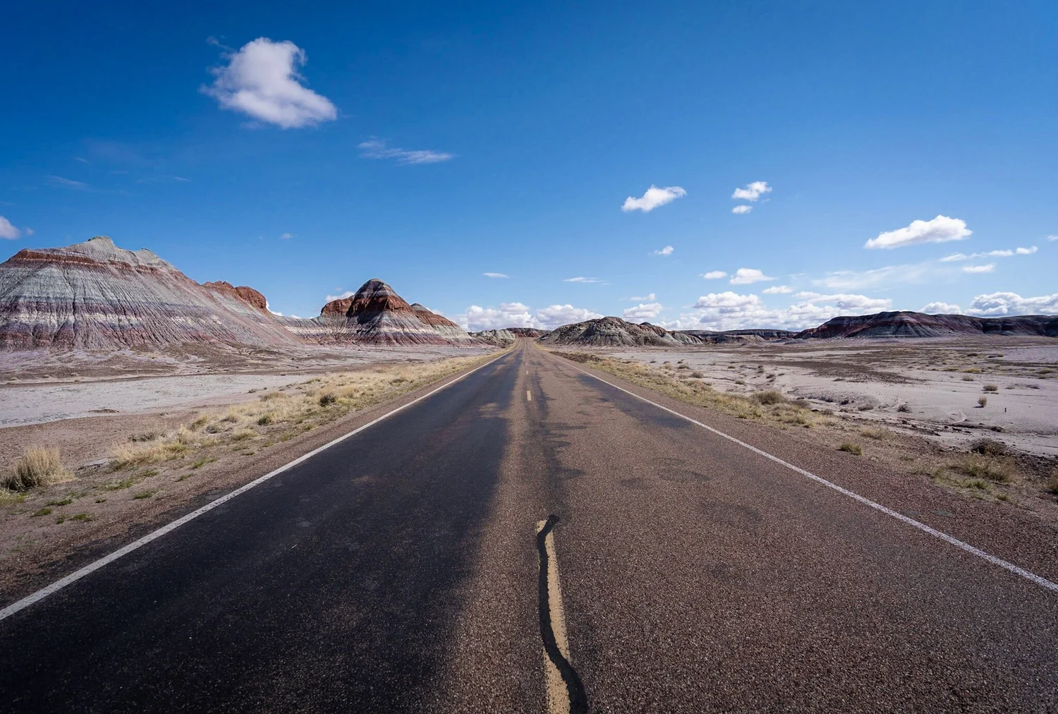 One Day In Petrified Forest National Park A Complete Guide Uprooted Traveler One Day In Petrified Forest National Park A Complete Guide Uprooted Traveler