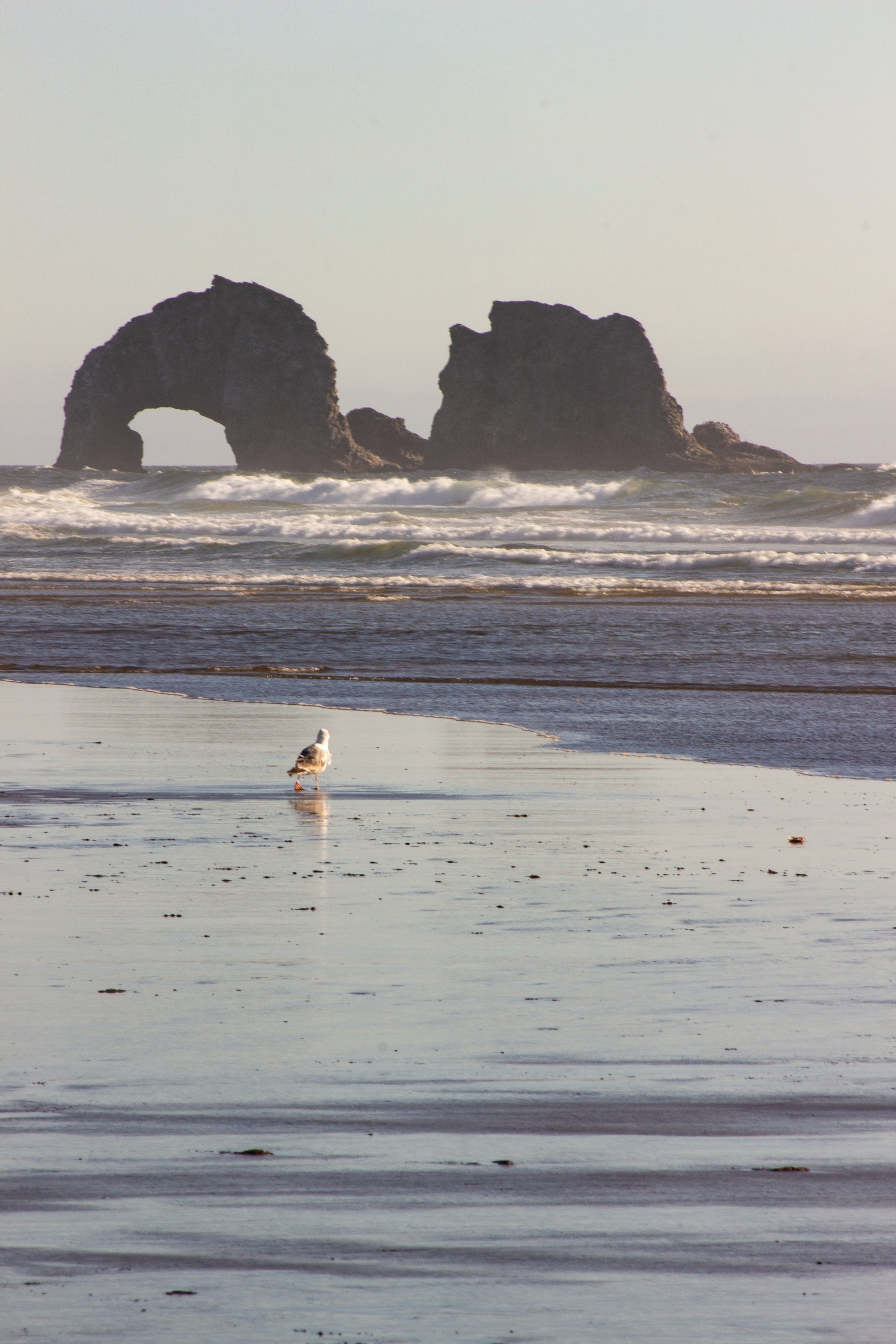 17 Oregon Coast Towns to Add to Your Road Trip Bucket List — Uprooted