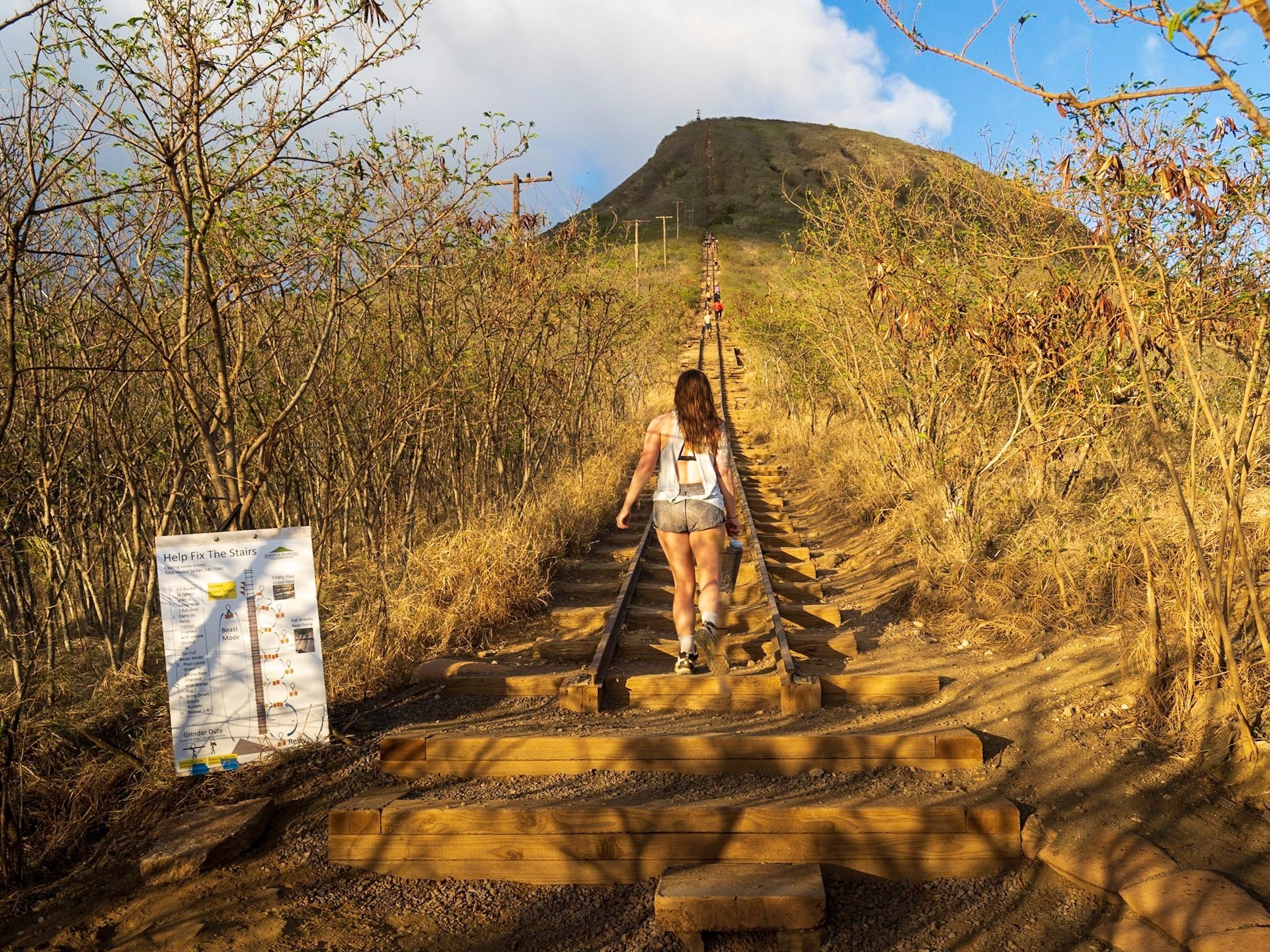 Koko Crater Trail: Everything You Need to Know About Oahu's Most Unique 