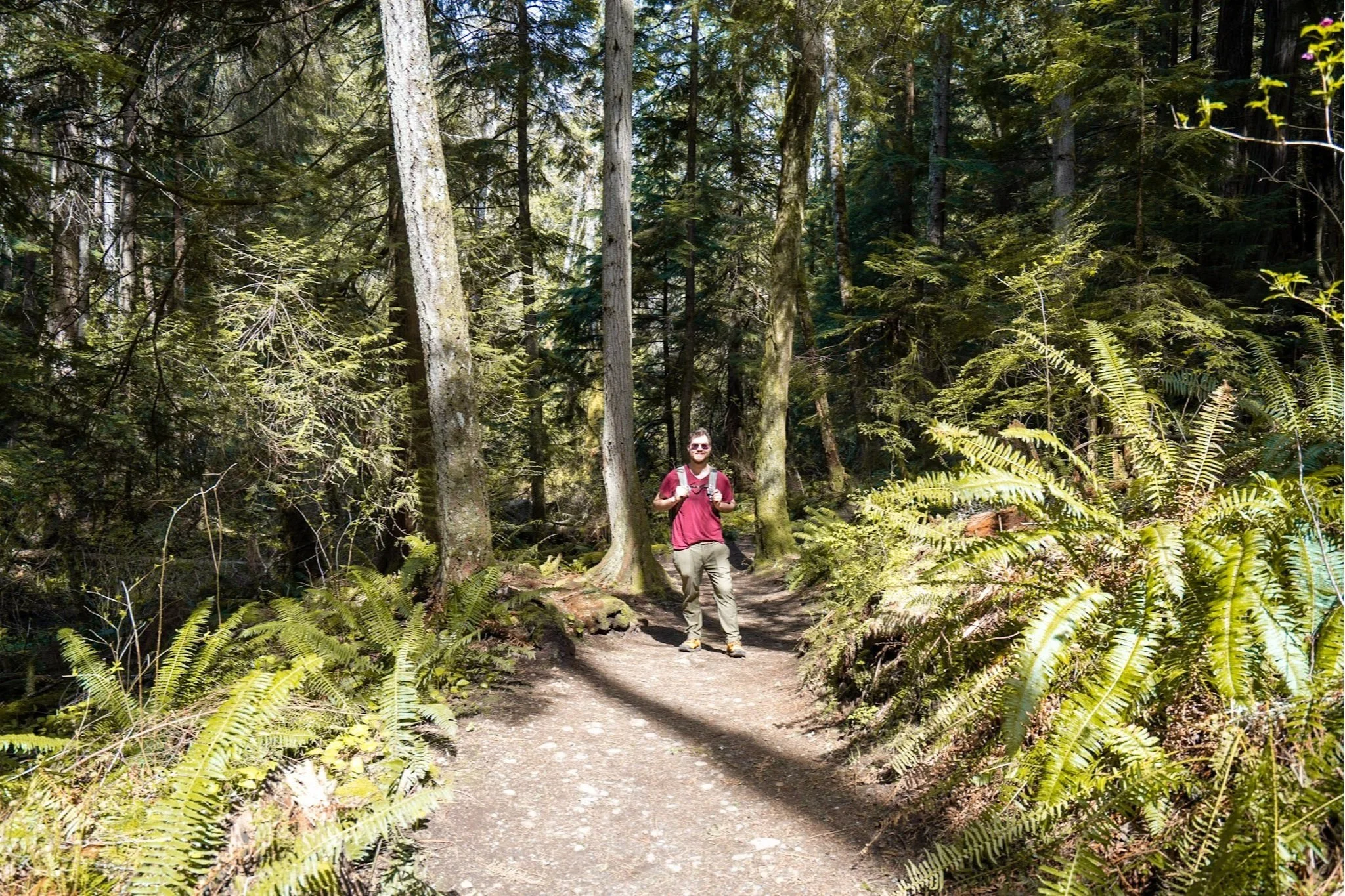 Oyster Dome Hike The Best Day Hike Near Bellingham, with Coastal Forests, Ocean Views, and More
