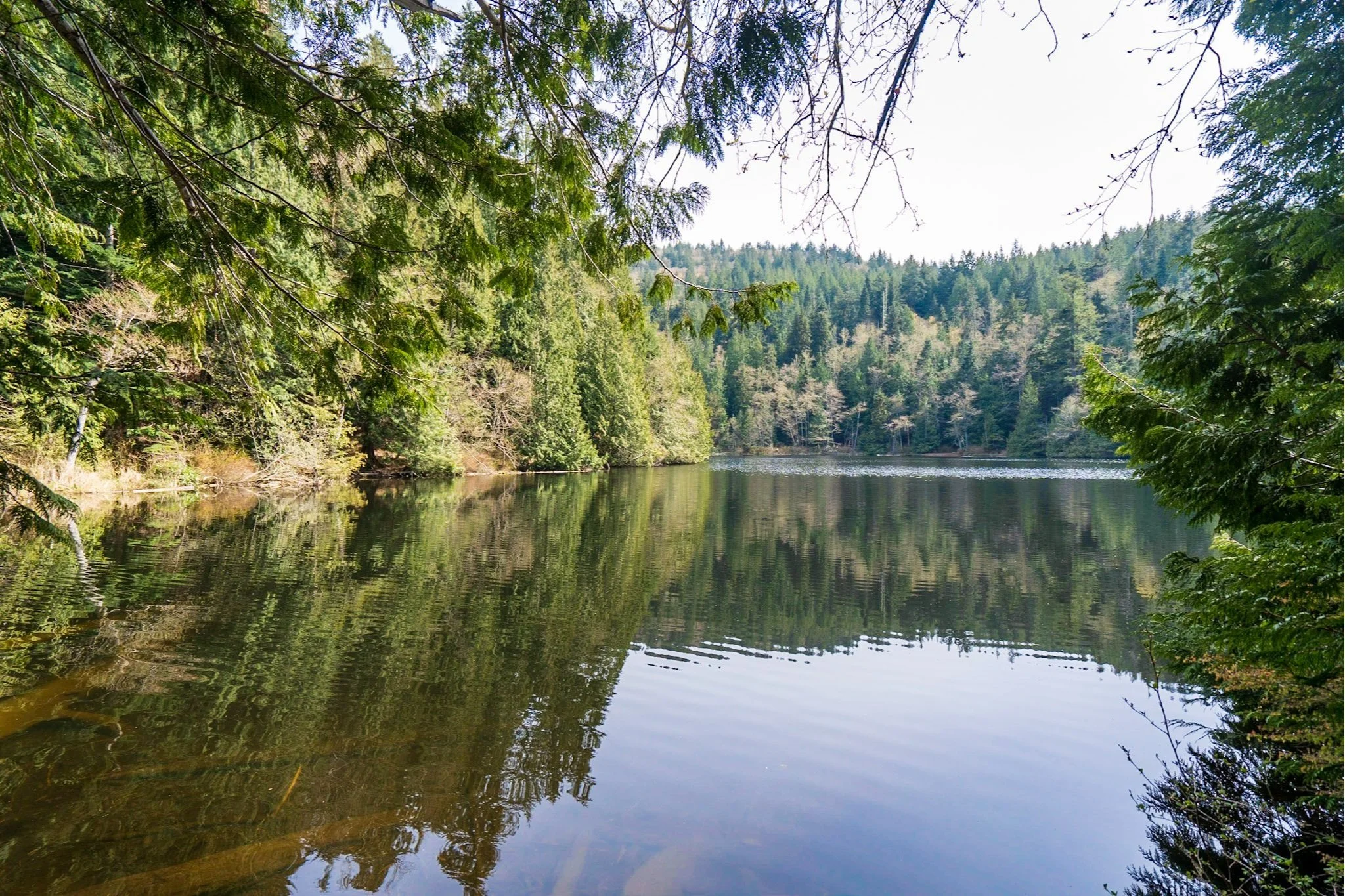 Fragrance Lake Trail Everything You Need to Know — Uprooted Traveler