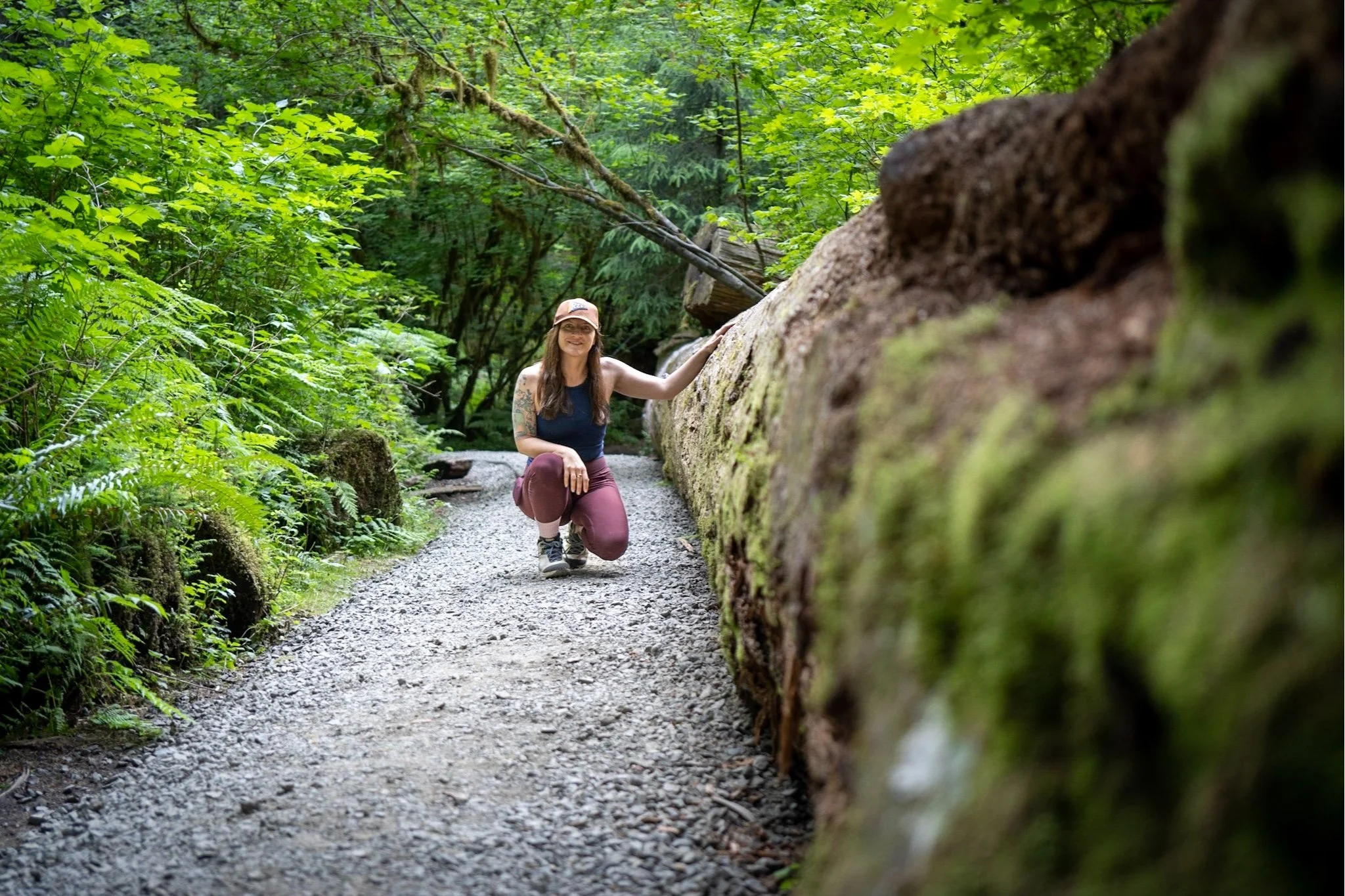 7 Best Hikes in Olympic National Park (the ONLY with Temperate Rainforests, Beaches, and